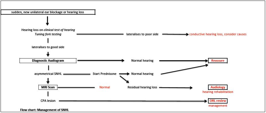 Sudden Sensorineural Hearing Loss Needs To Be Diagnosed Promptly