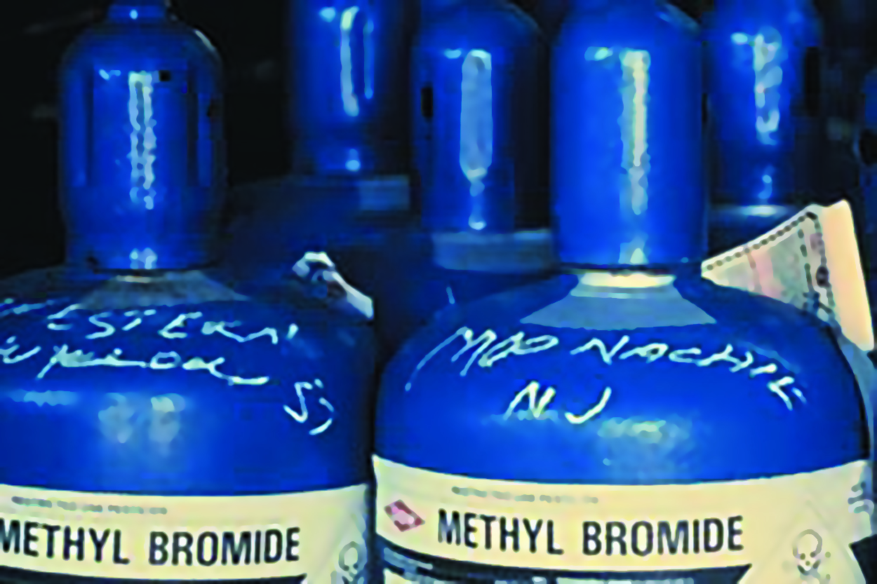 New Zealand registration process for log fumigant ethanedinitrile under way  | New Zealand Doctor