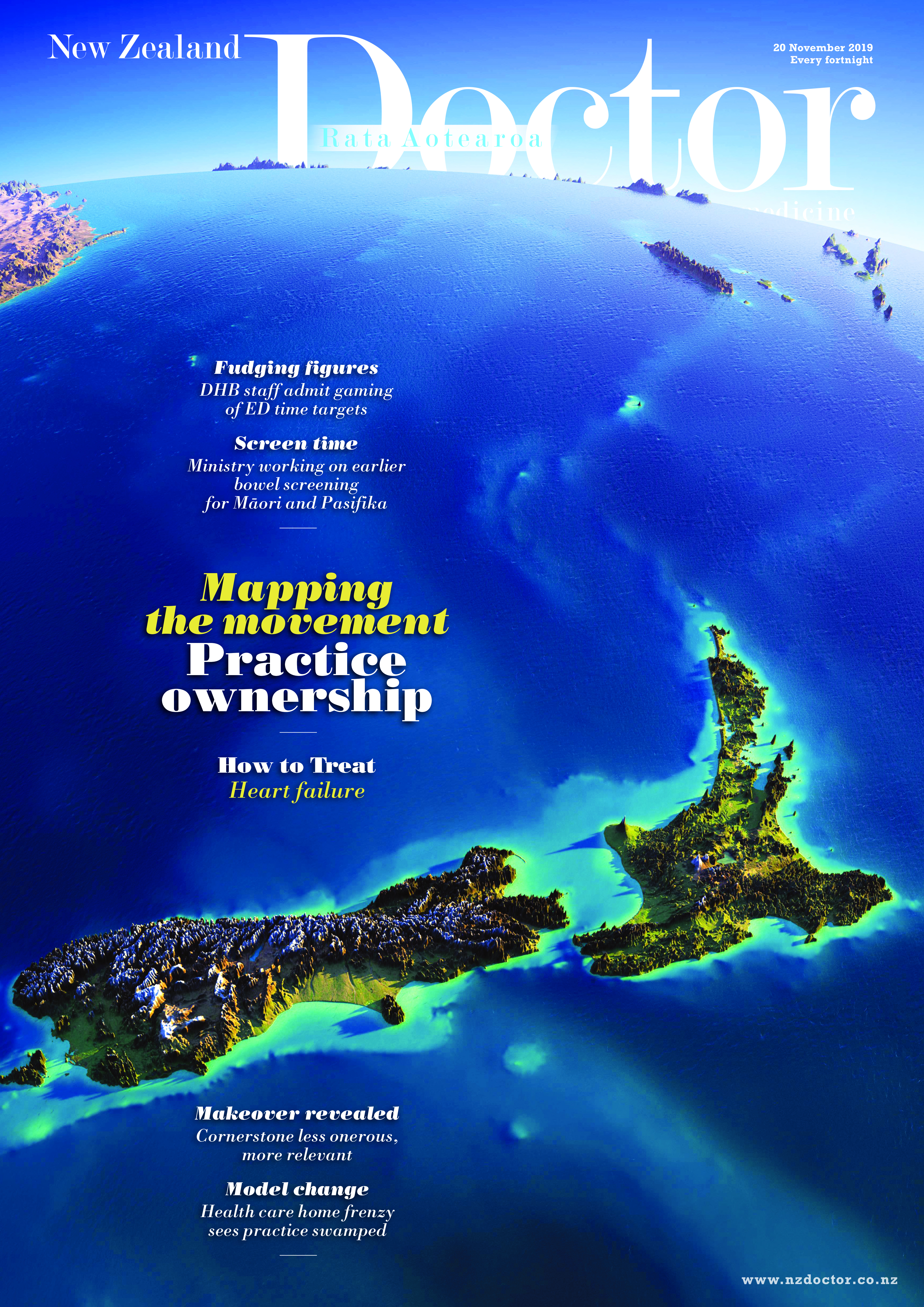 NZD Cover 20112019
