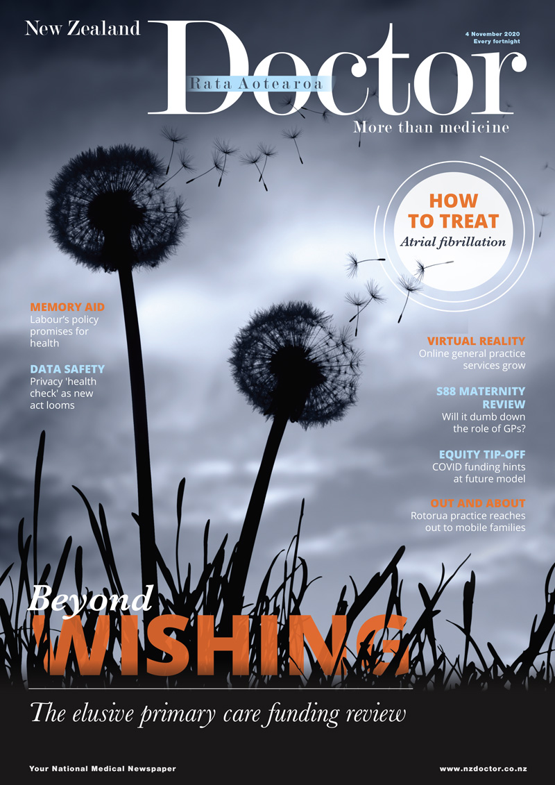 NZD Cover 04112020