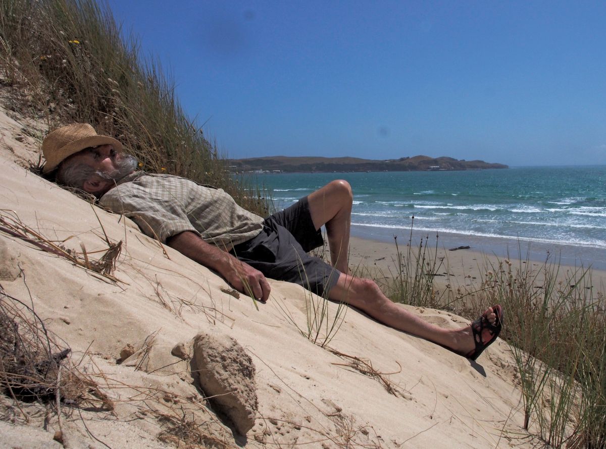 Matin London, Chatham Islands