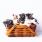 Cats, kittens, The Lucky Neko on Unsplash