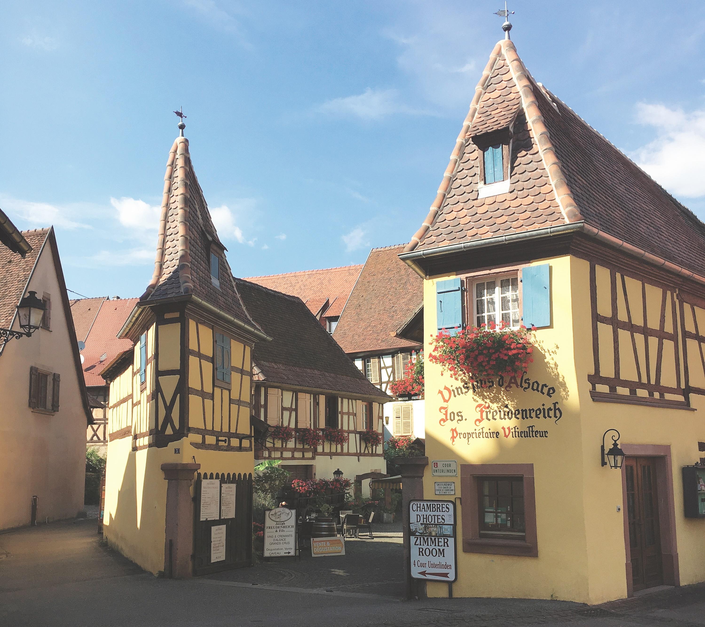 Alsace Home Of Aromatic Wines New Zealand Doctor