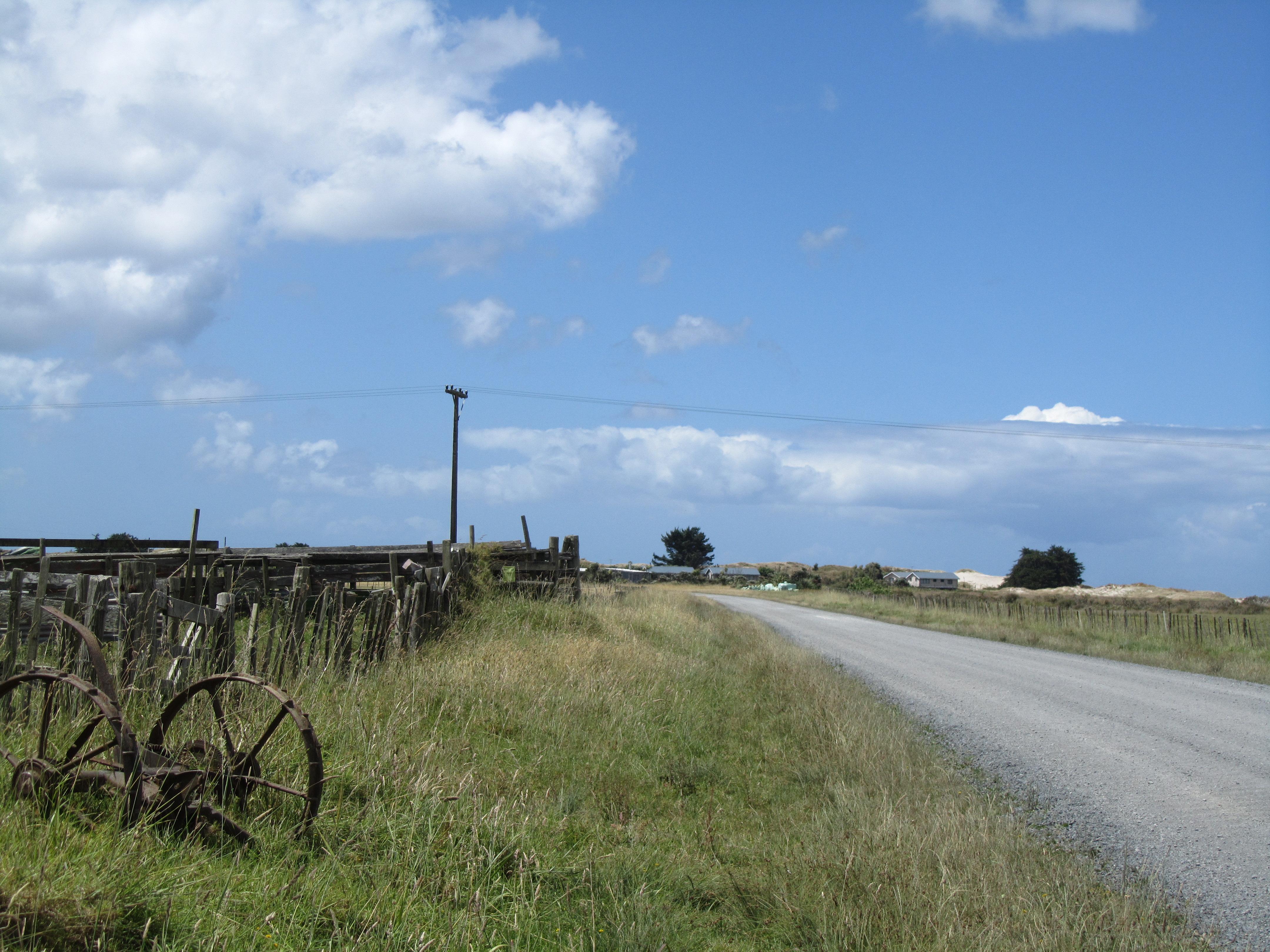 Pakiri beach