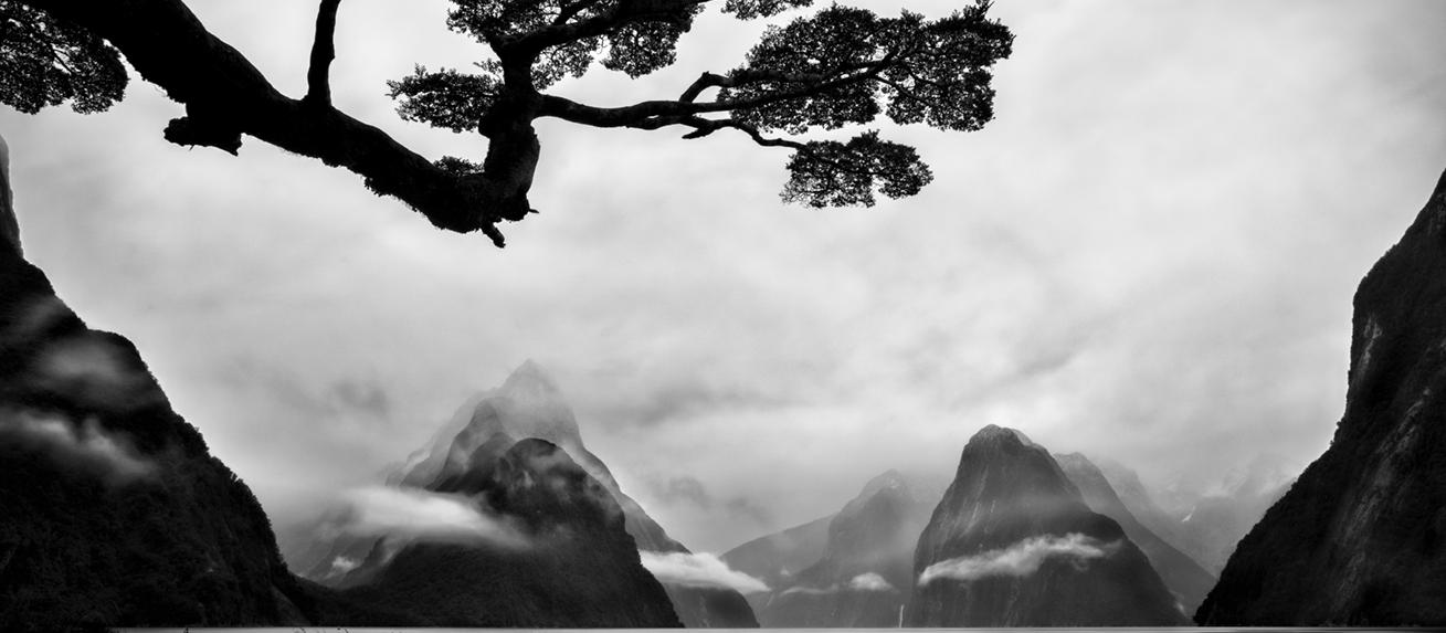 Milford Sound - Tony Whithead