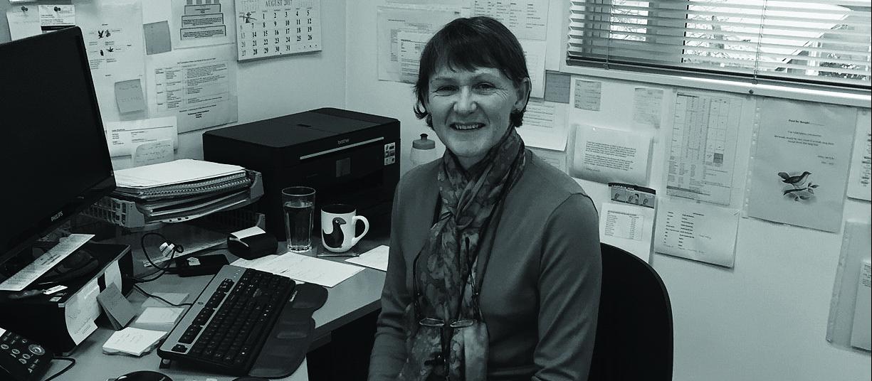 Louise Shambrook