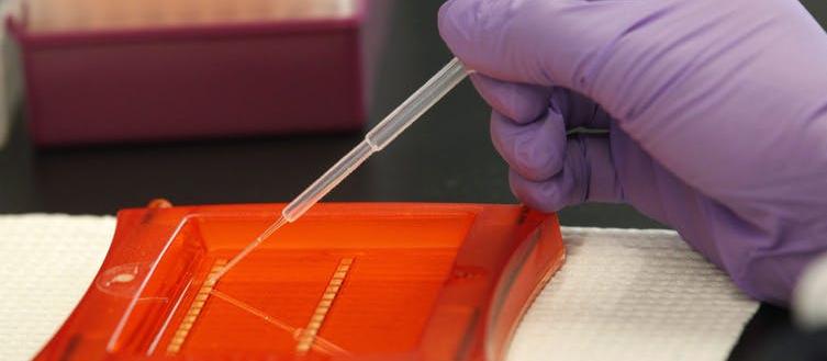 DNA kit