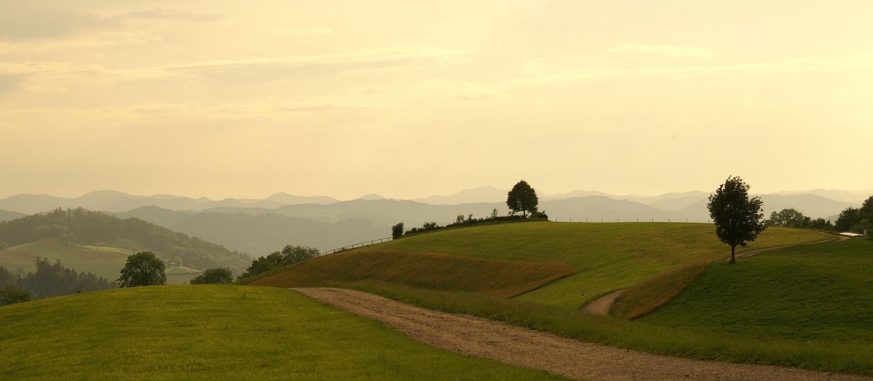 Landscape