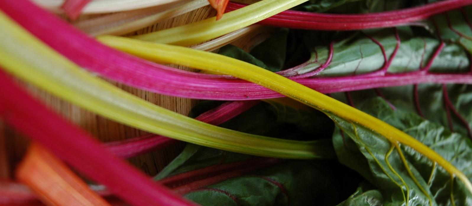 silverbeet