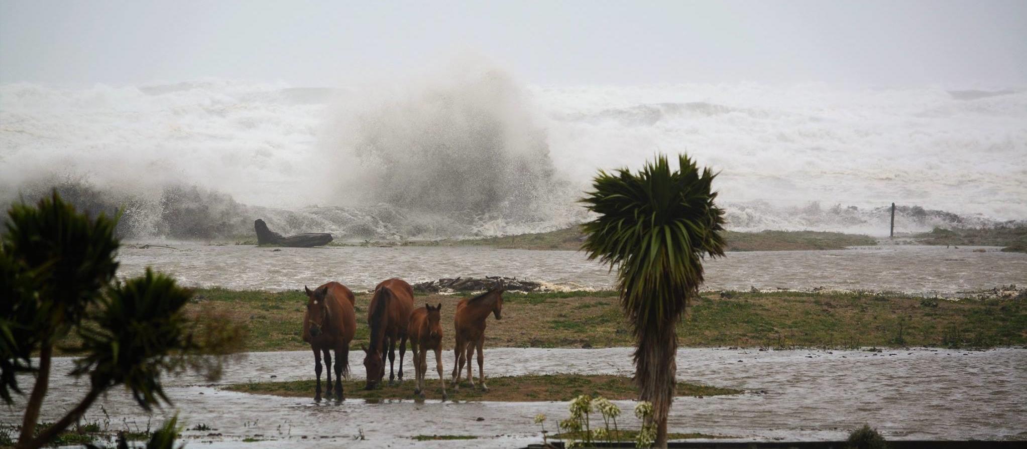 Flooding in Buller