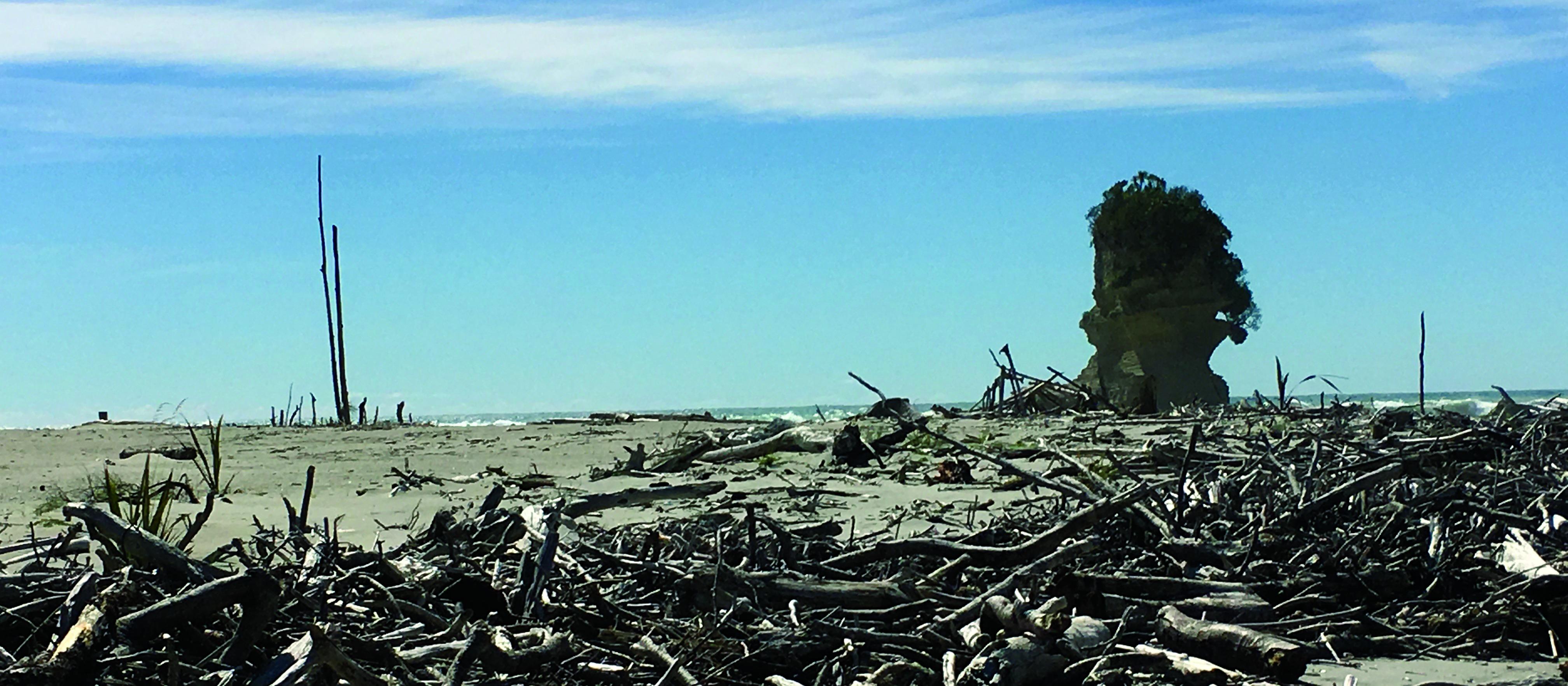 Punakaiki beach 