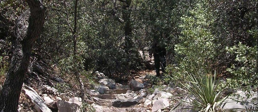 Rock, path, broken stairs