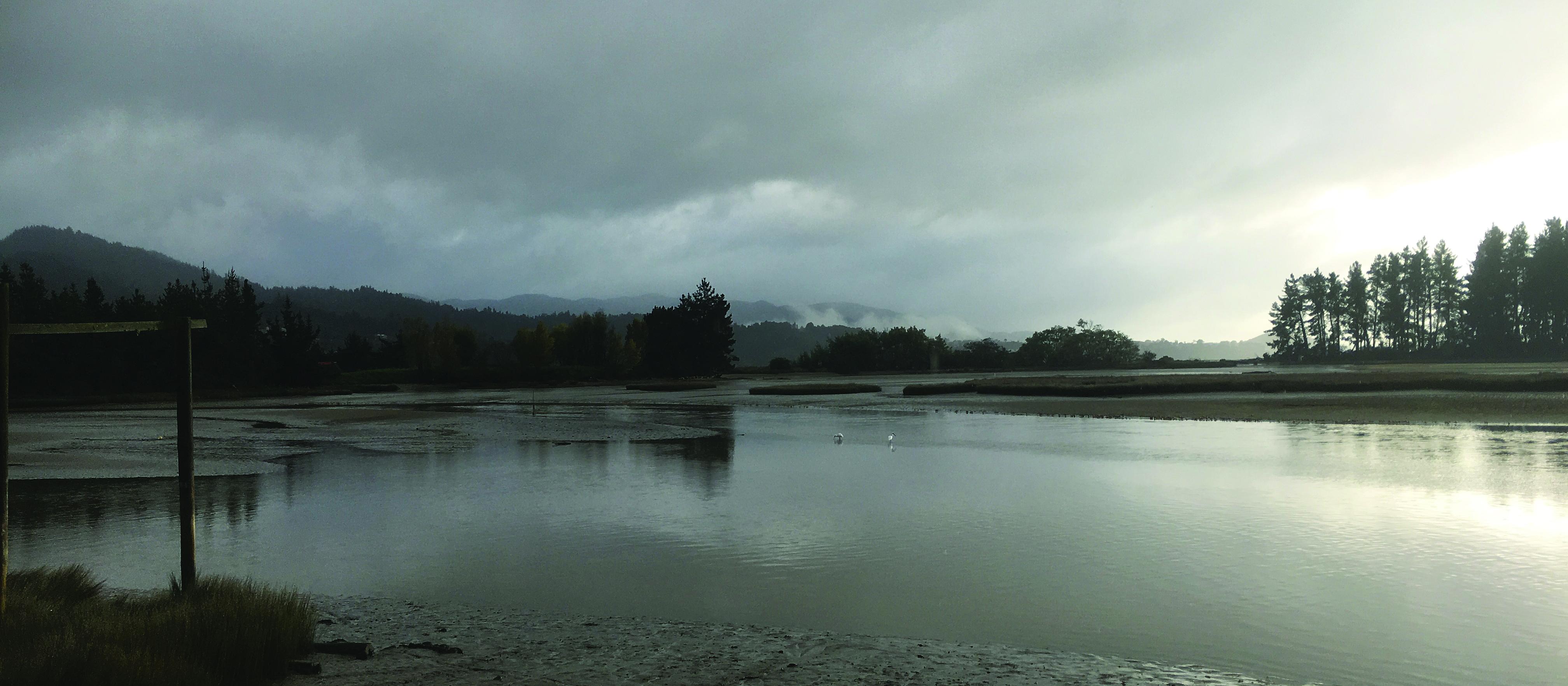 Riwaka Estuary 