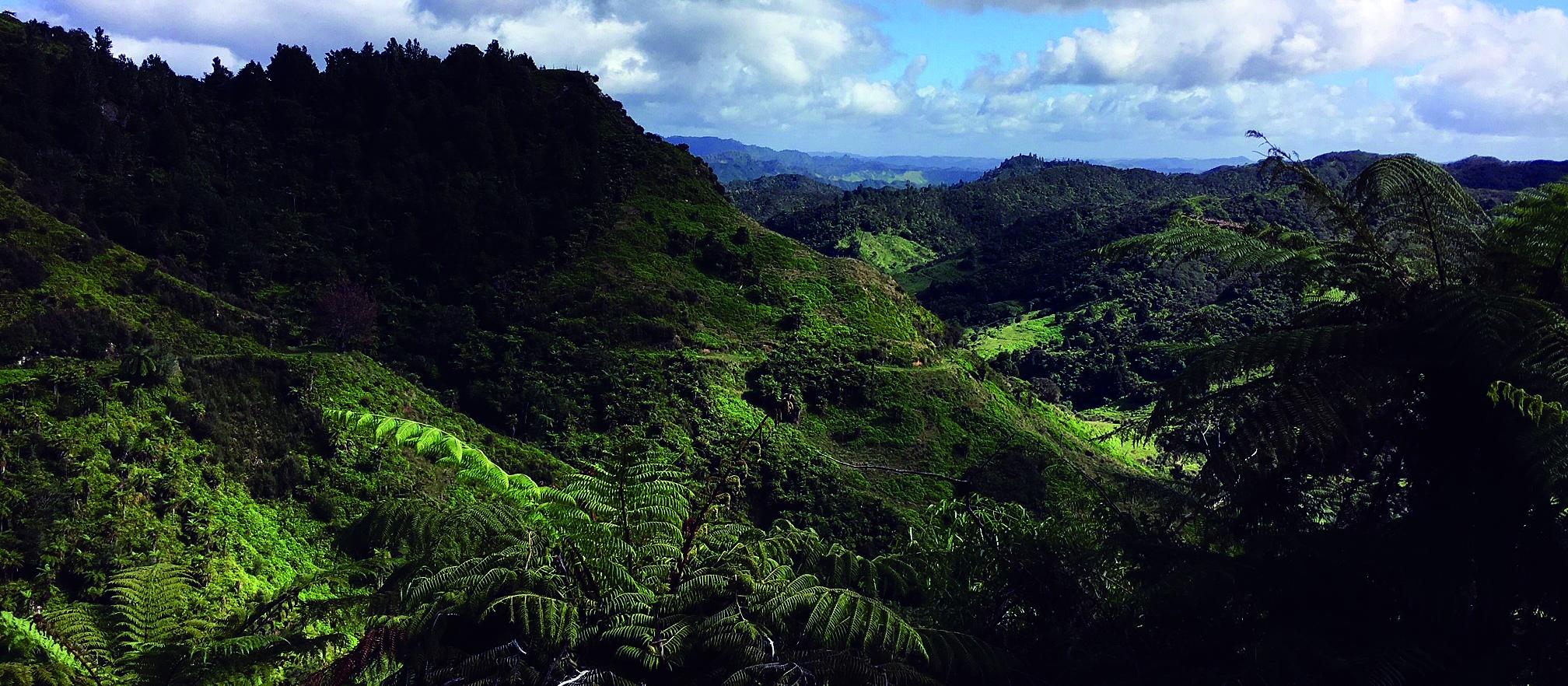 Fishers Track features a 520m decent to the Retaruke Valley