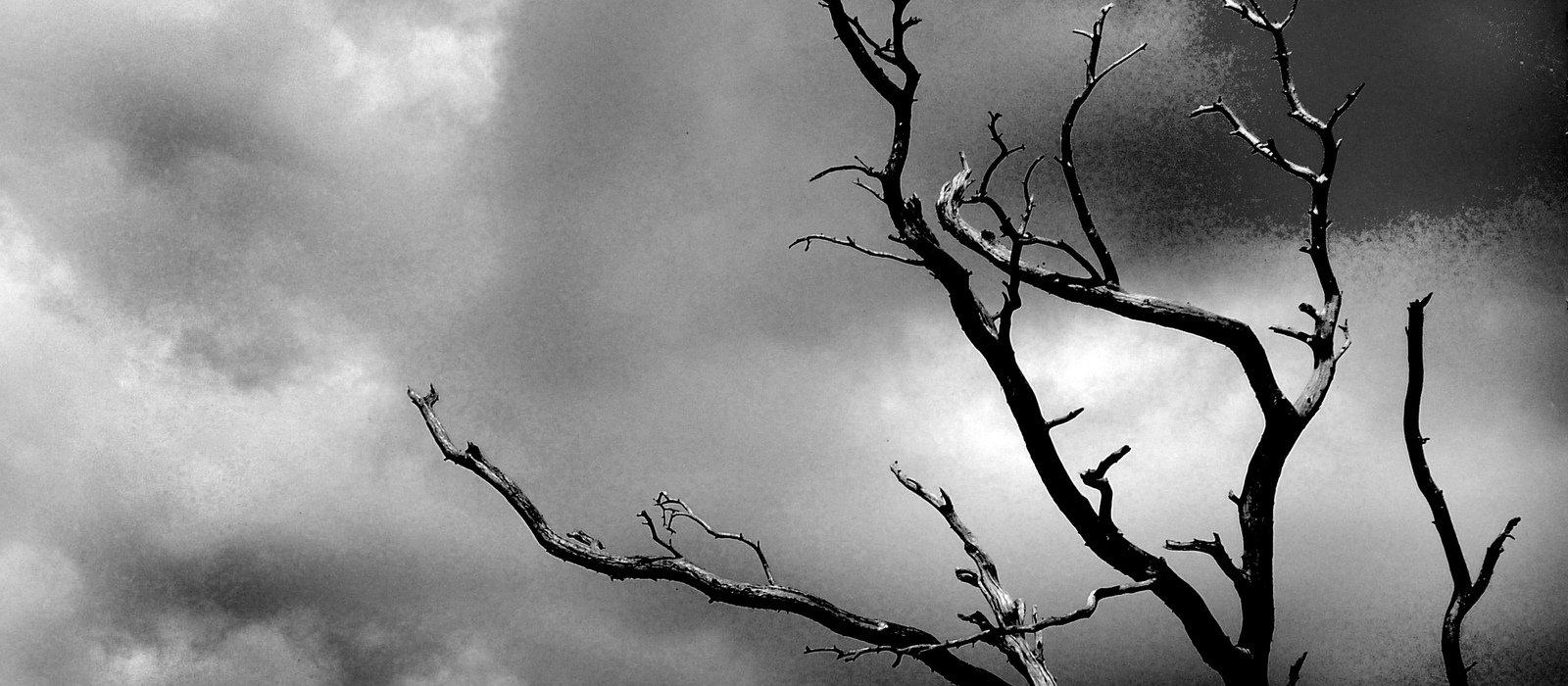 Storm, tree, sadness, depression