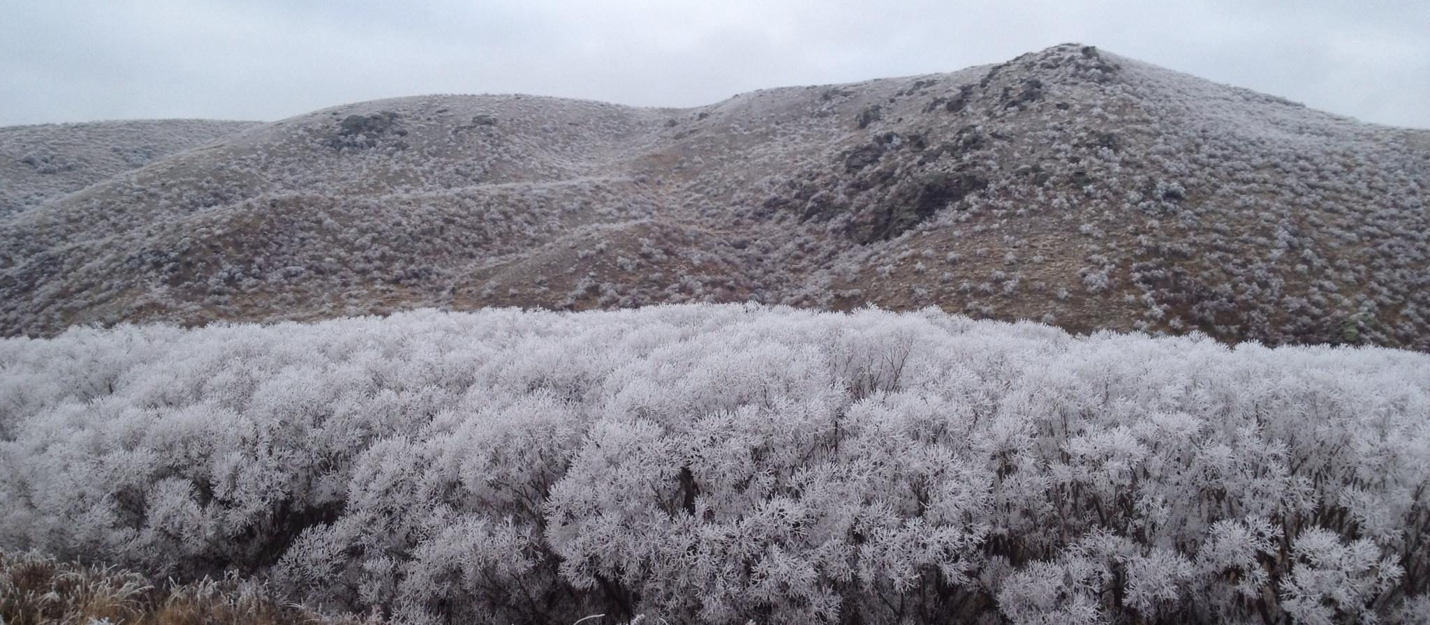 Central Otago