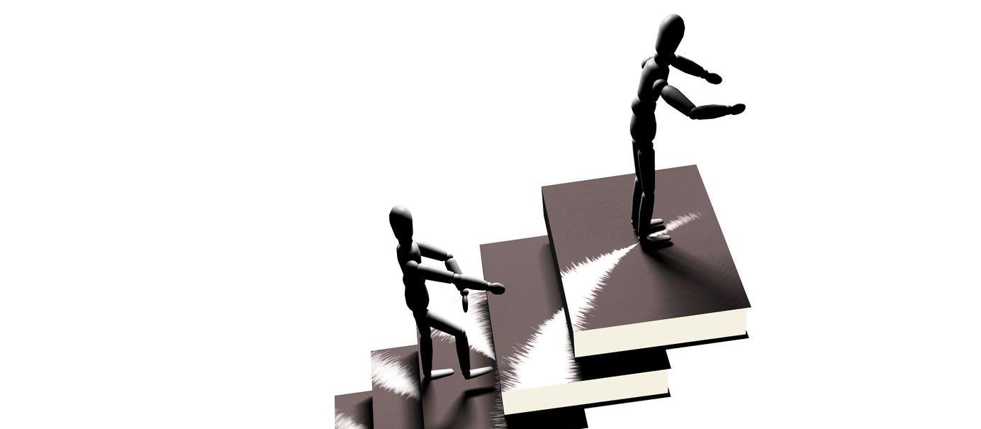 career ladder 