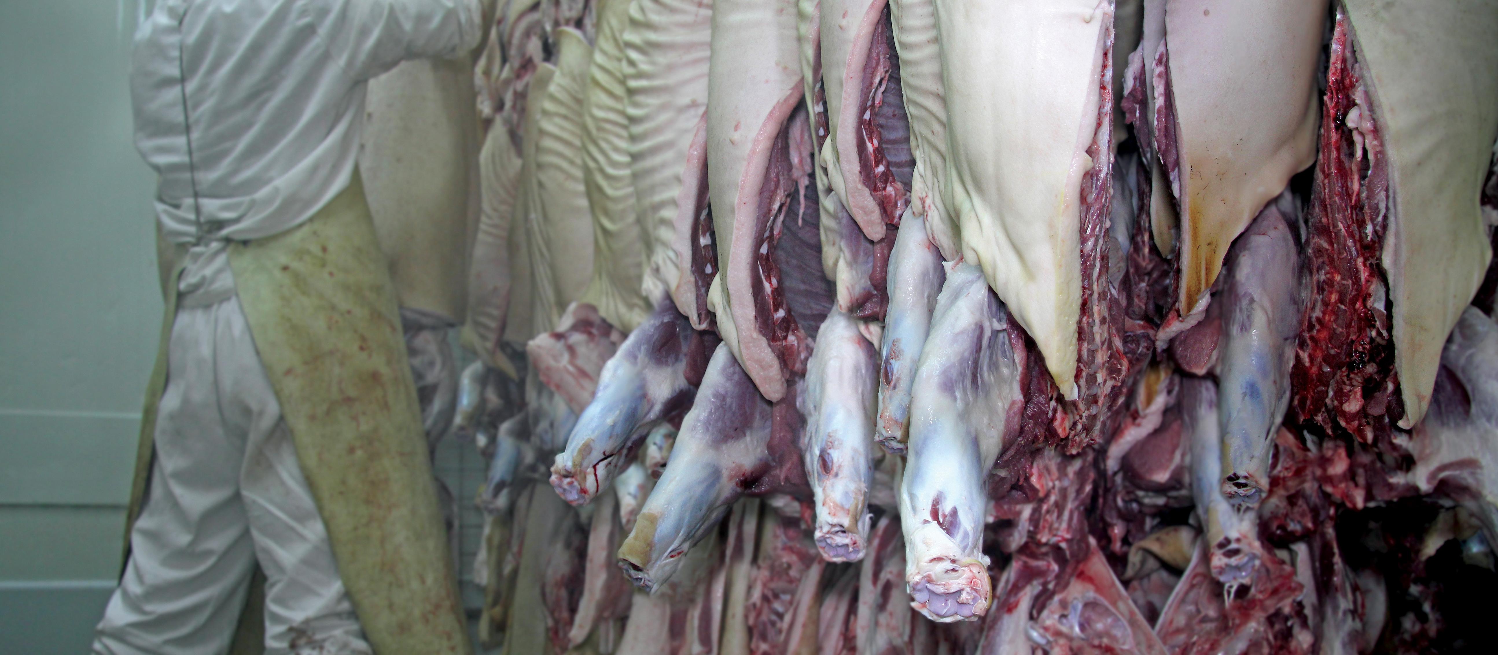 Cold Storage in the Slaughterhouse