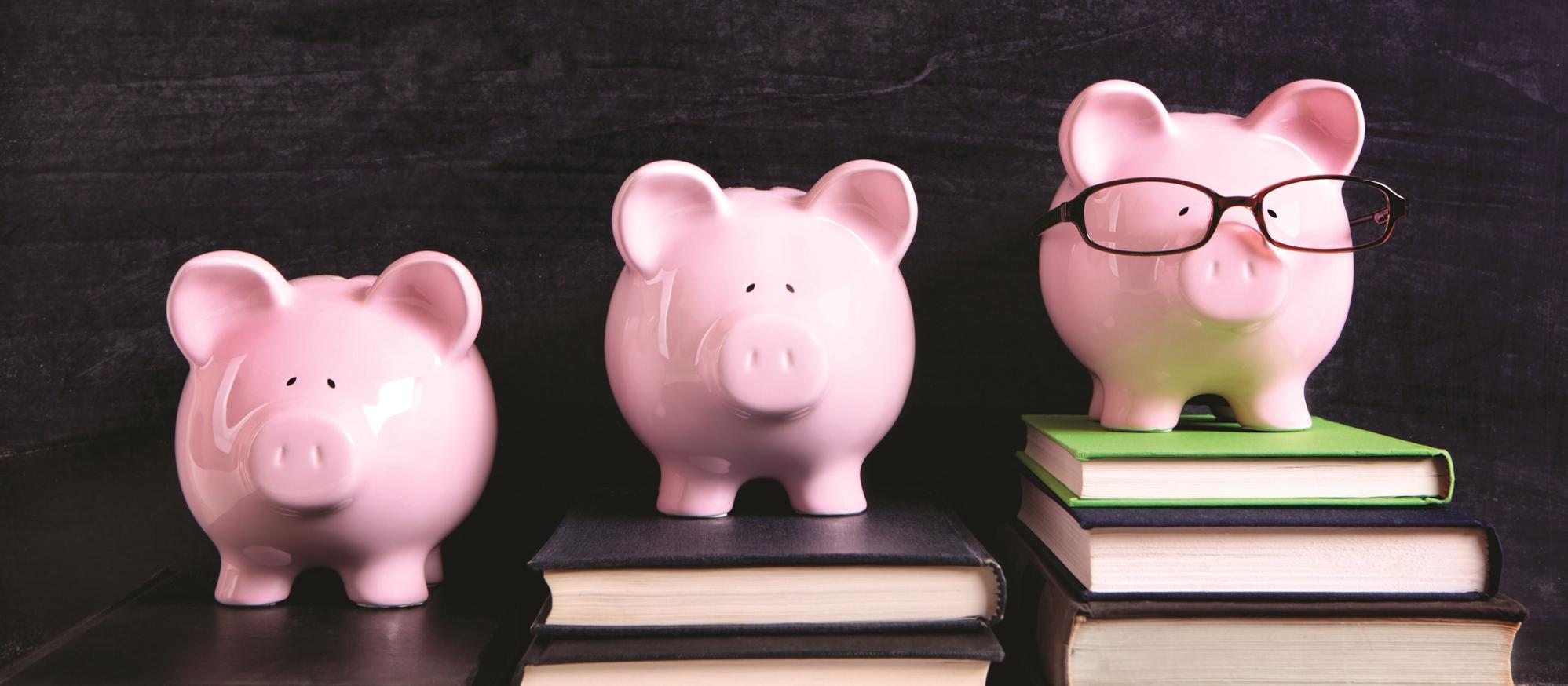 Three pigs of affluence, hierarchy, status