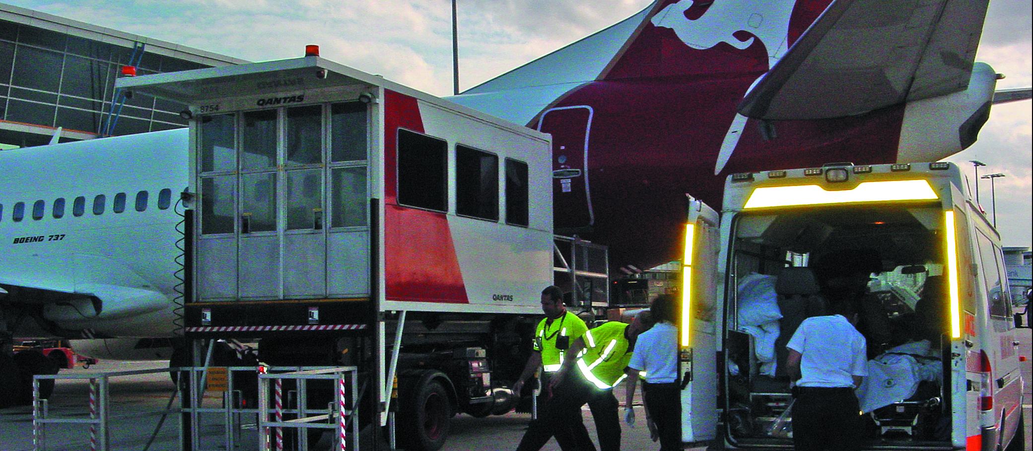 Recent news coverage of passengers with flu-like symptoms being quarantined on arrival at international airports brings a timely reminder of the difficulties the world faces should a flu pandemic arise