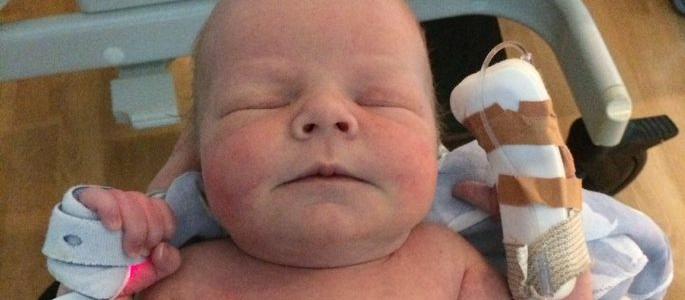 Wellington newborn Frank Bramwell-Stevens