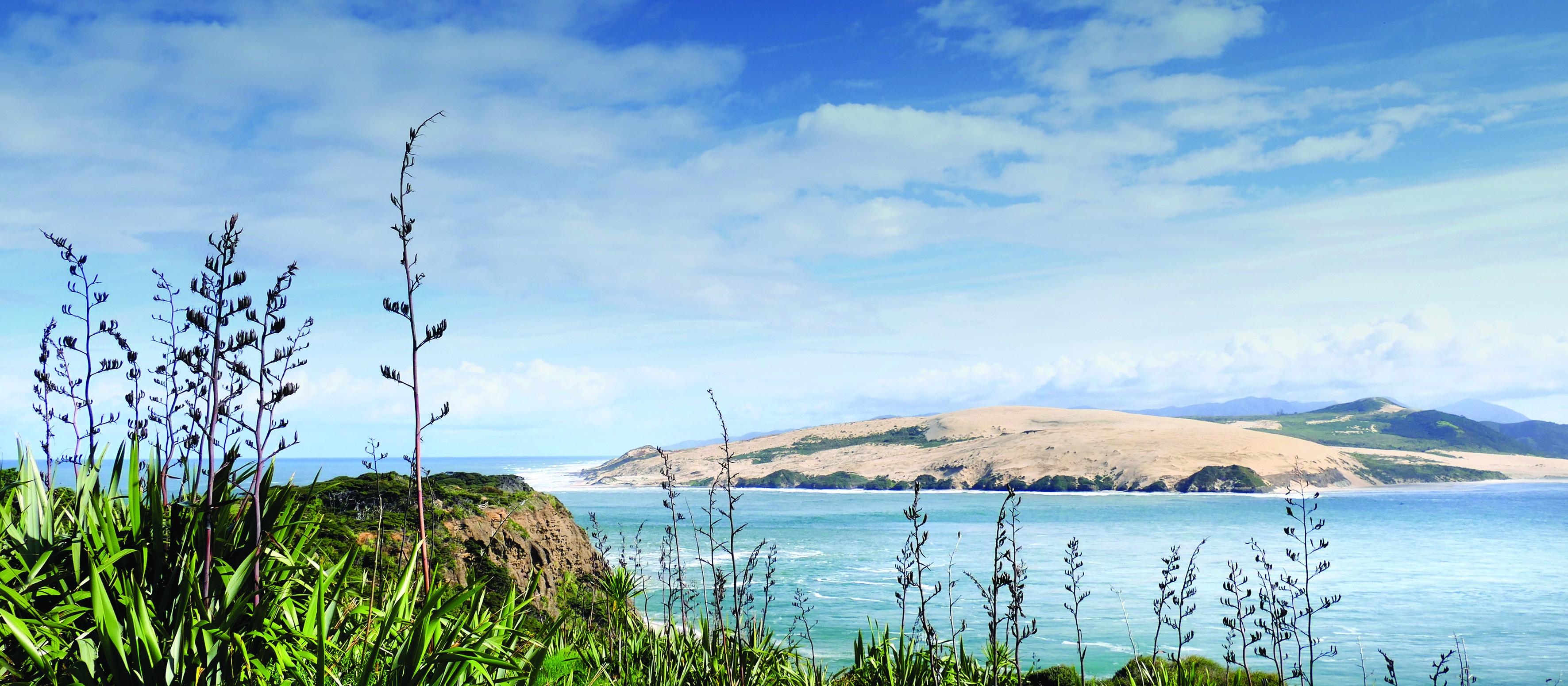 Hokianga