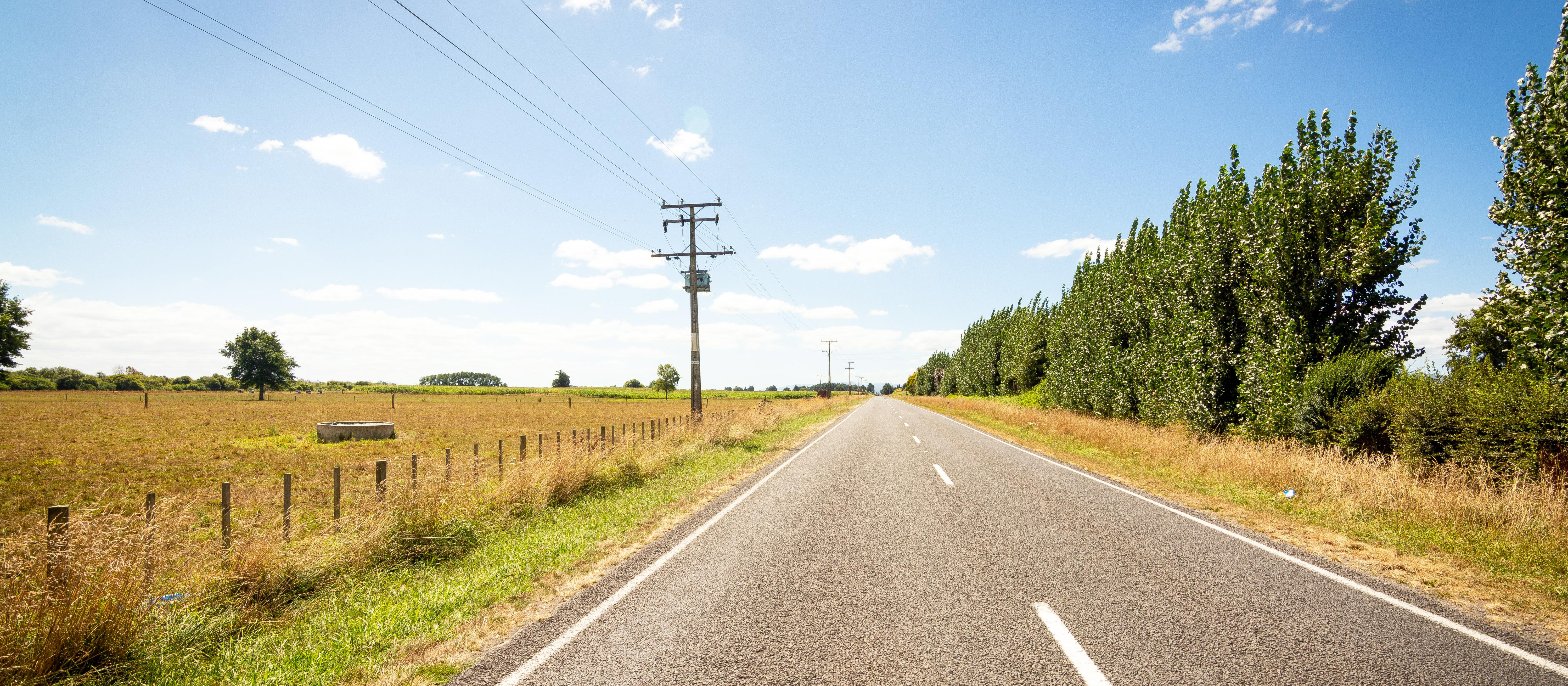 Hauraki Plains