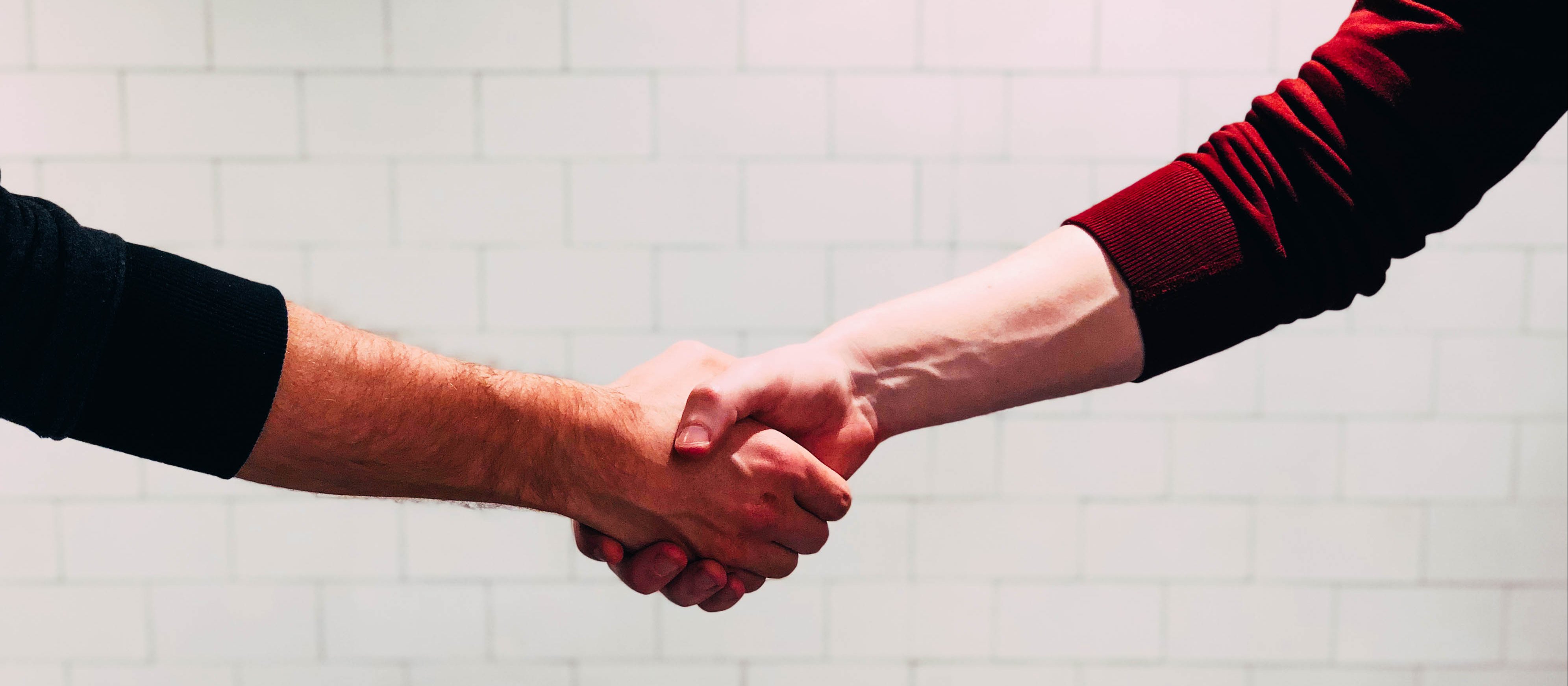 Handshake 2