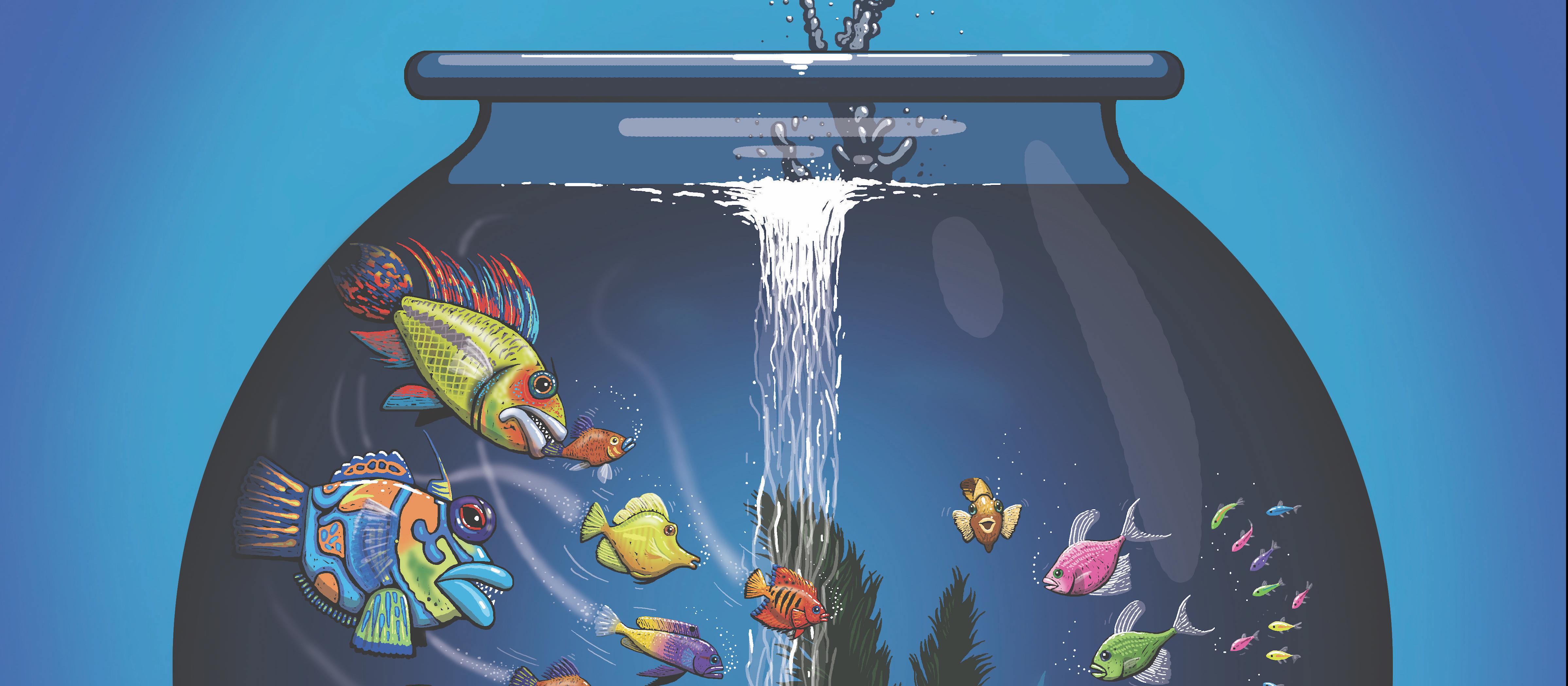 Fish bowl