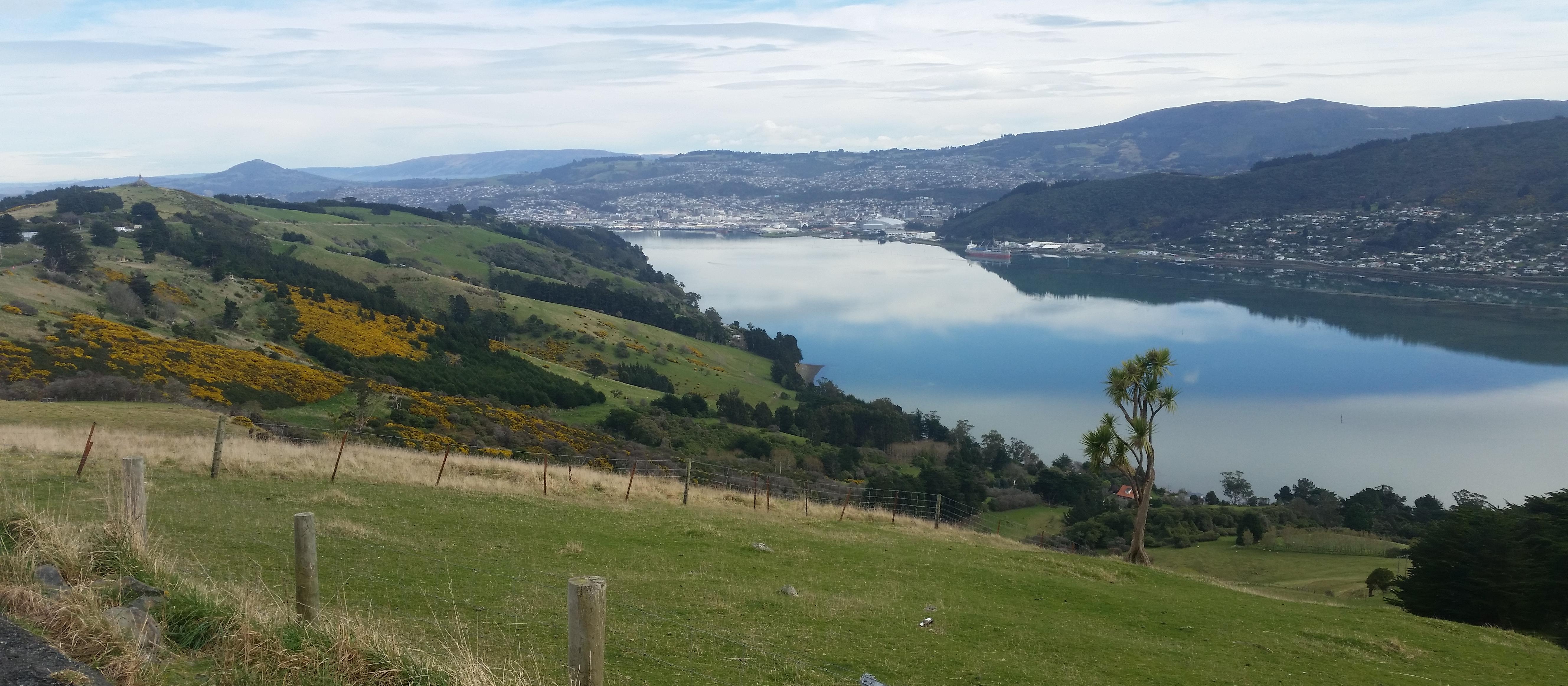 Dunedin