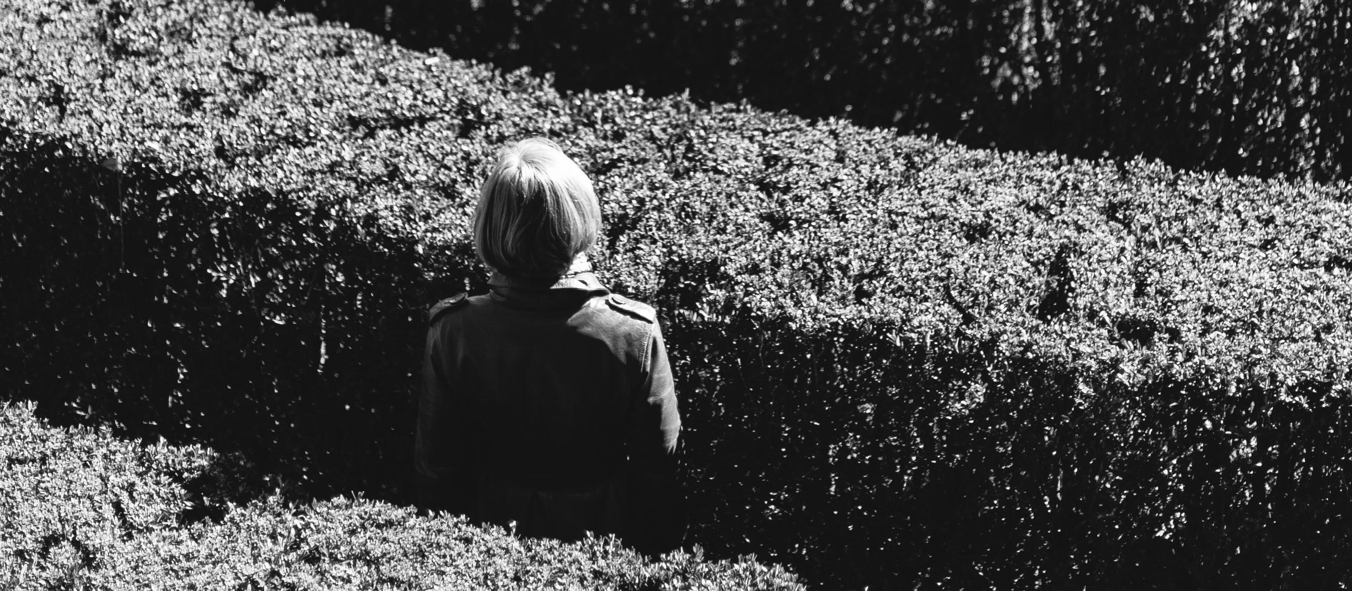 Maze