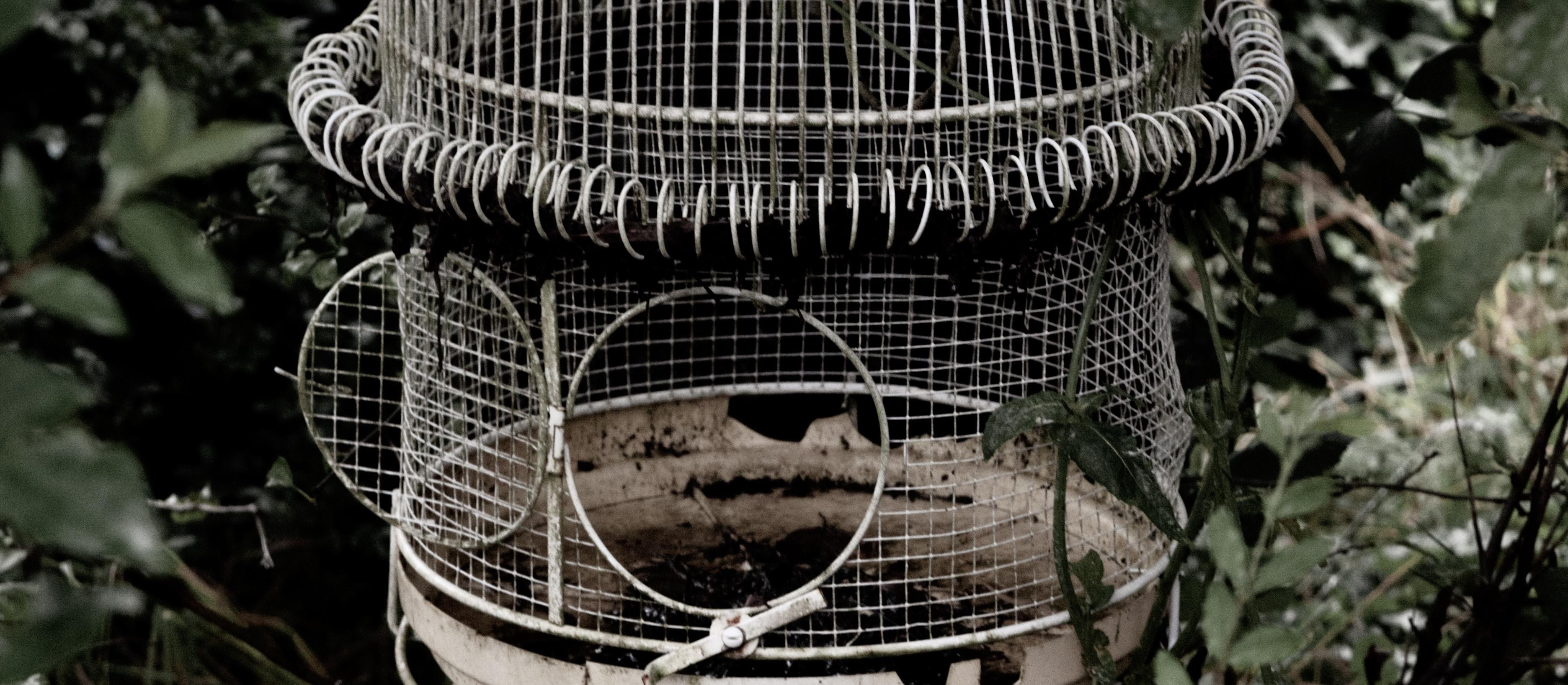 cage