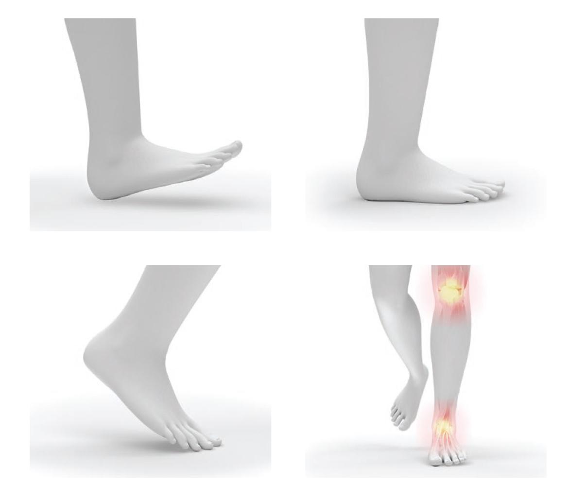 dr scholls insoles nz