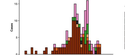 WHO covid19 epidemic curve outside china to 10 feb 2020