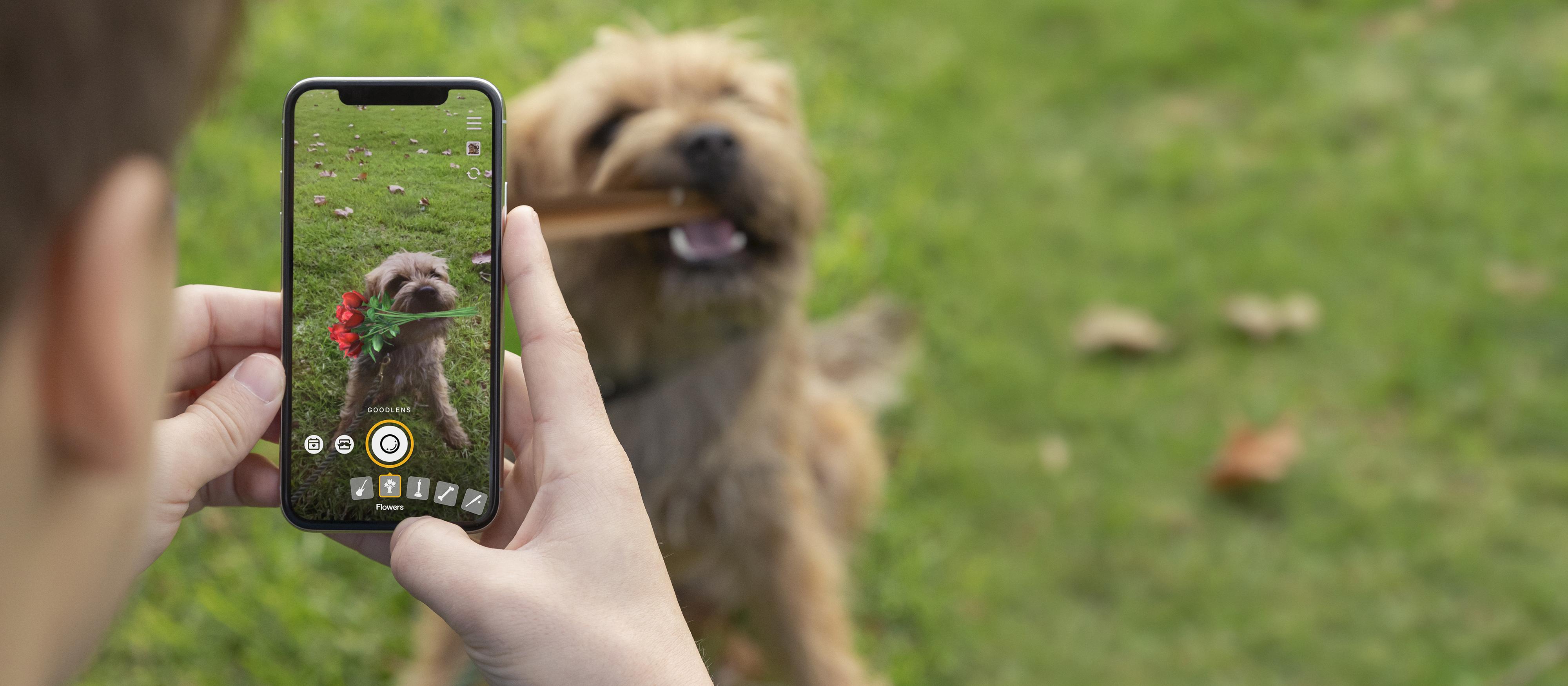 Kiwi app uses pet images to counter impact of negative social media content  | New Zealand Doctor