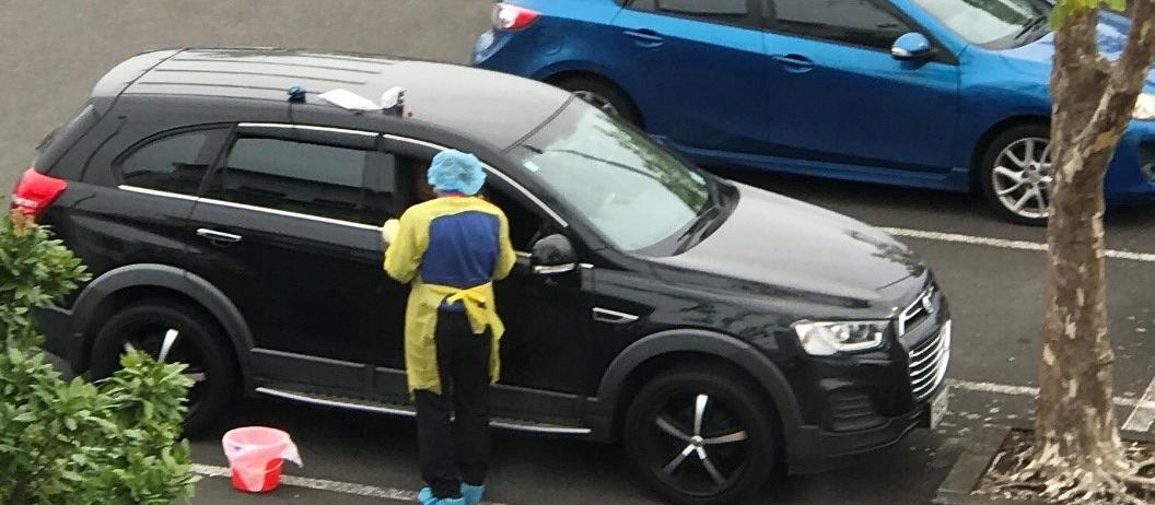 Greenstone carpark swab 
