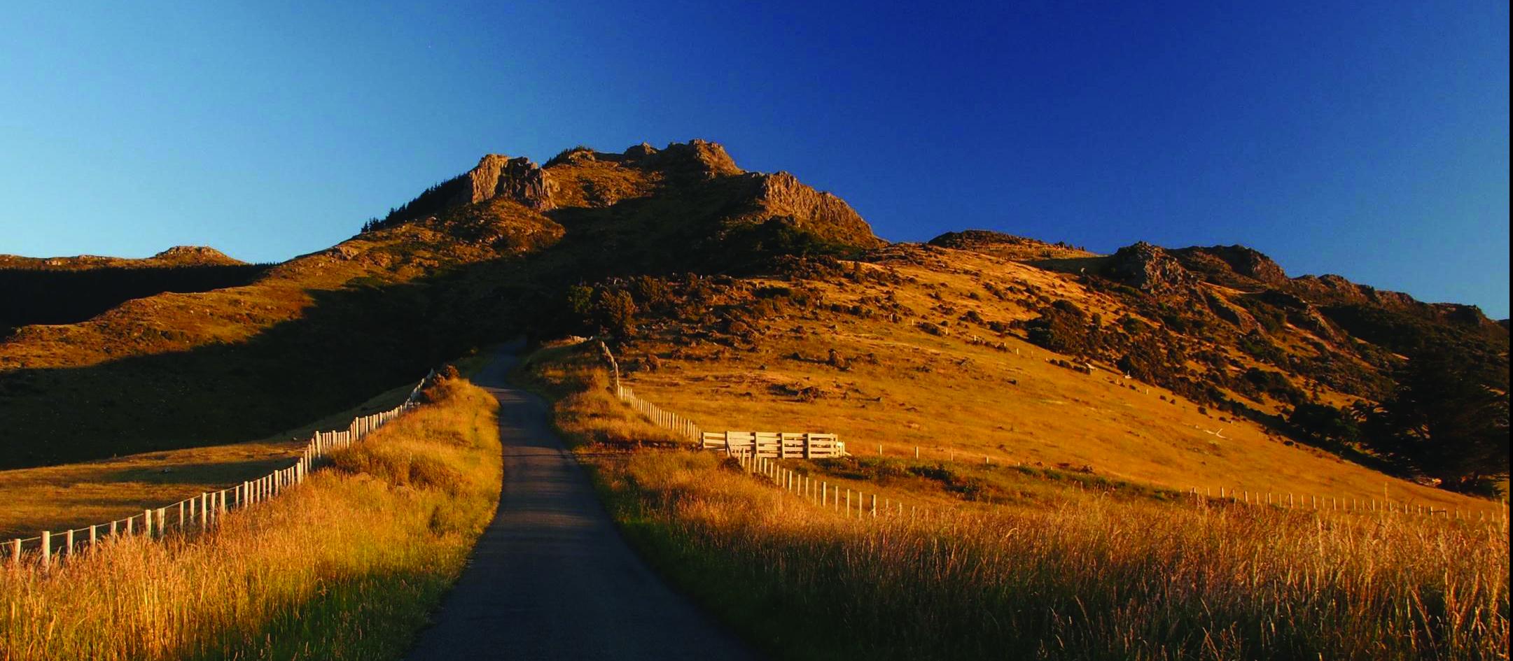 Road leading to hilltop - Martin London