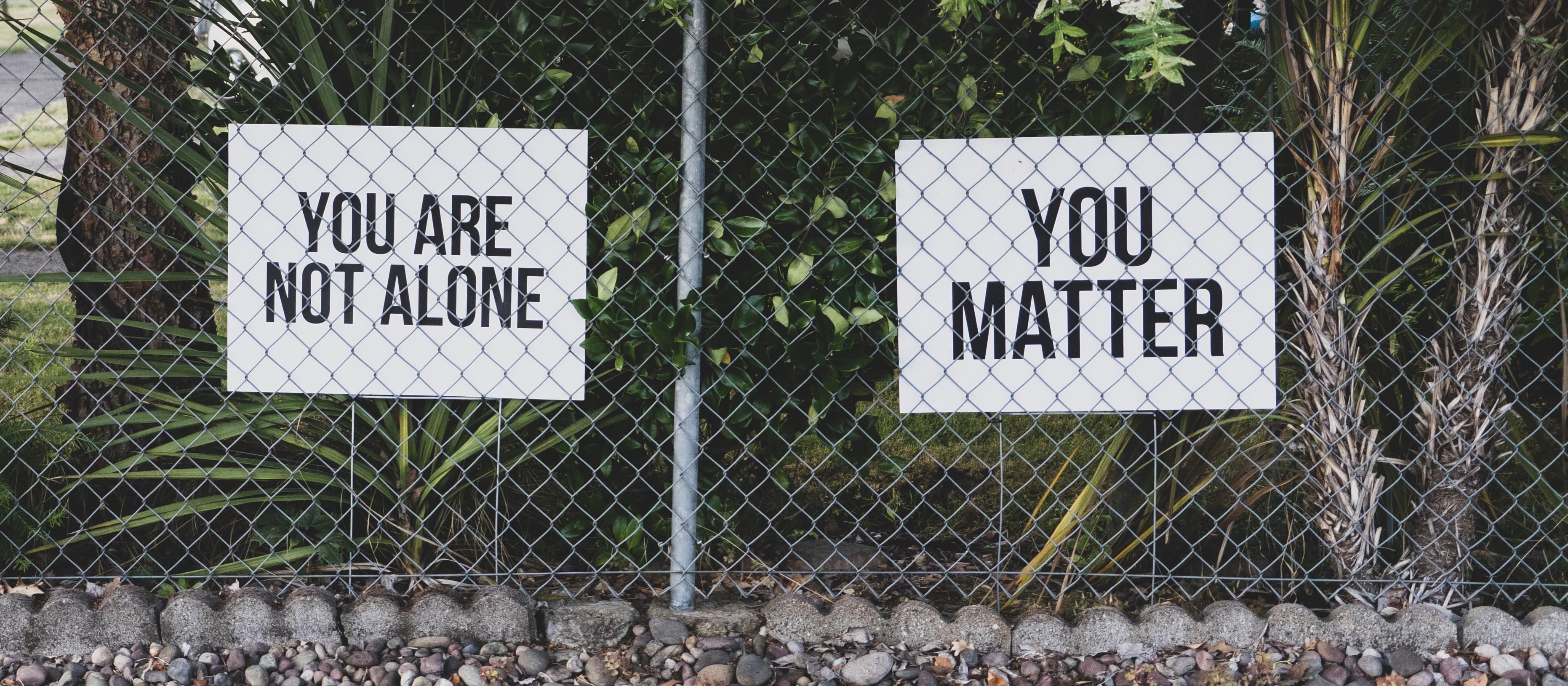 Photo by Dan Meyers on Unsplash