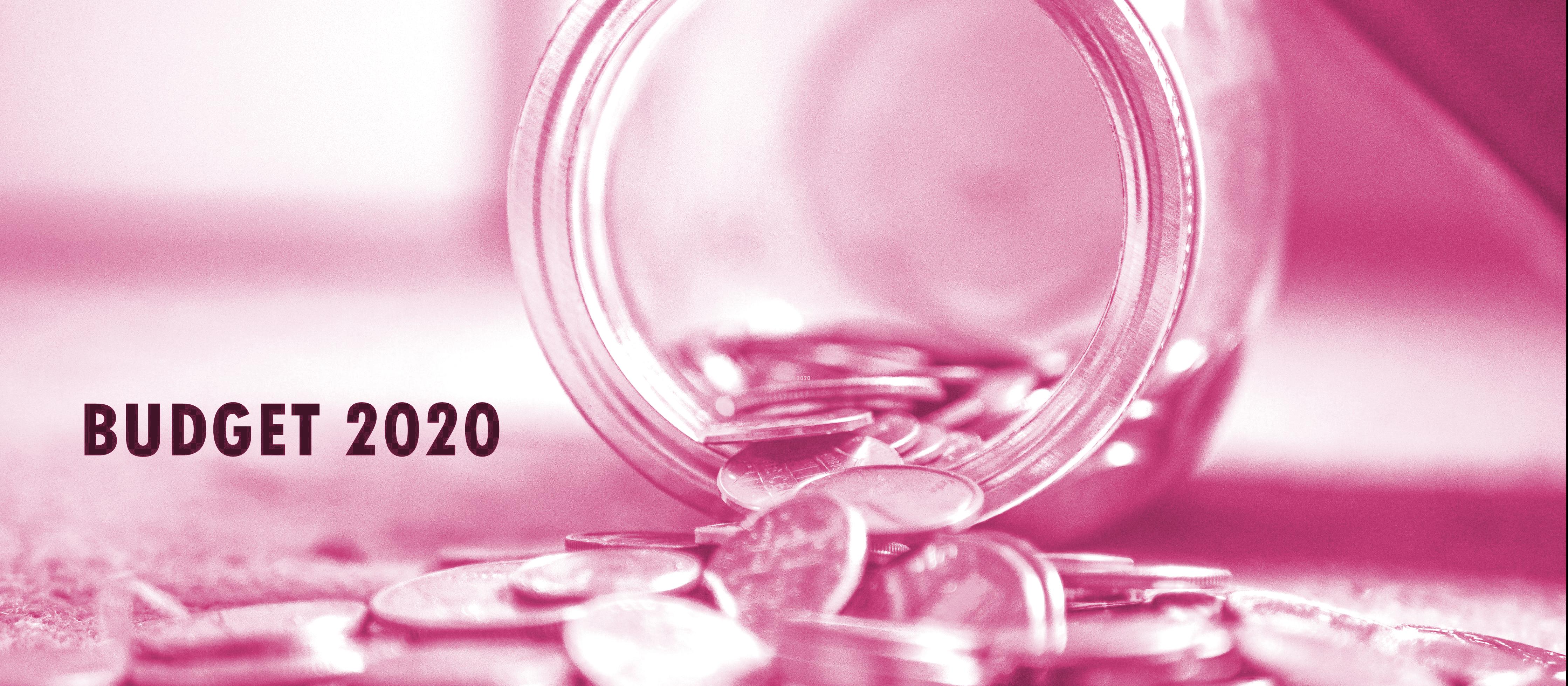 Budget 2020 UNDOC_pink