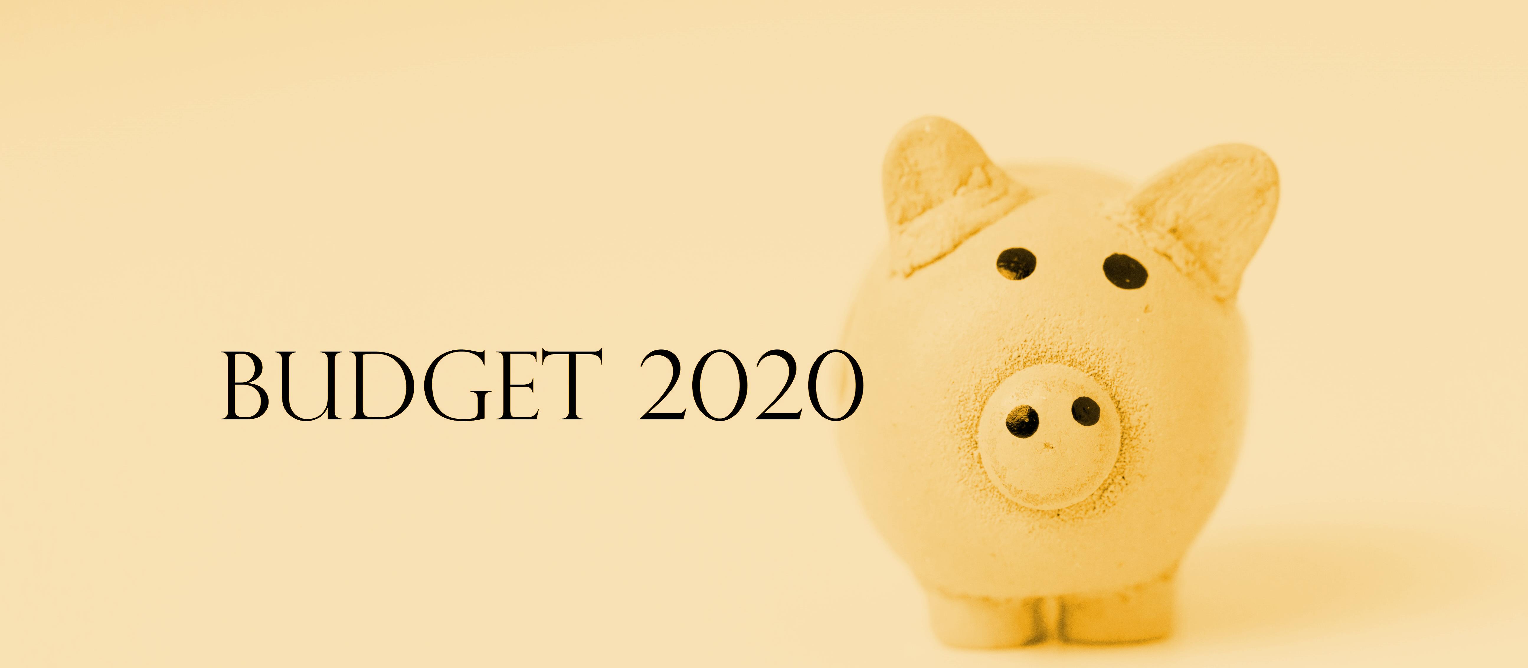 Budget 2020 Piggy_yellow