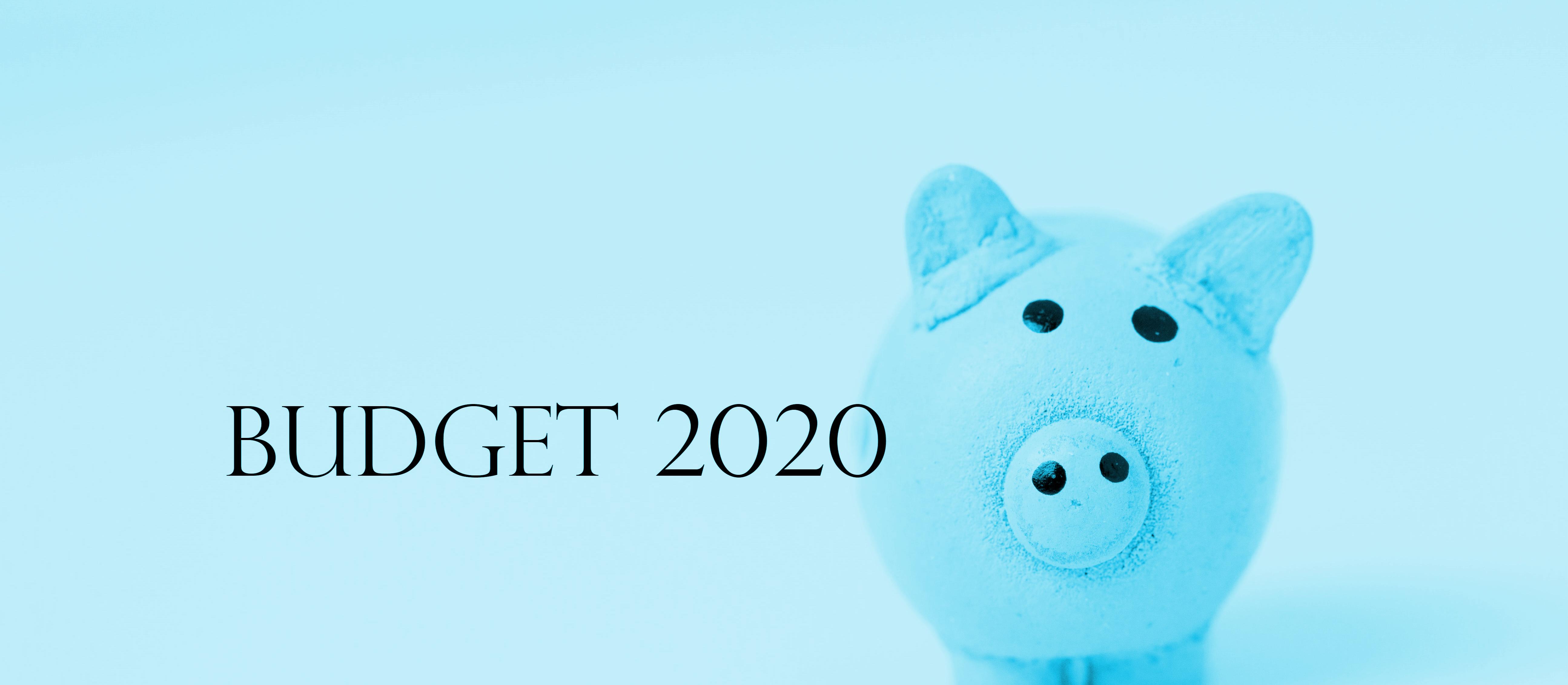 Budget 2020 Piggy_blue