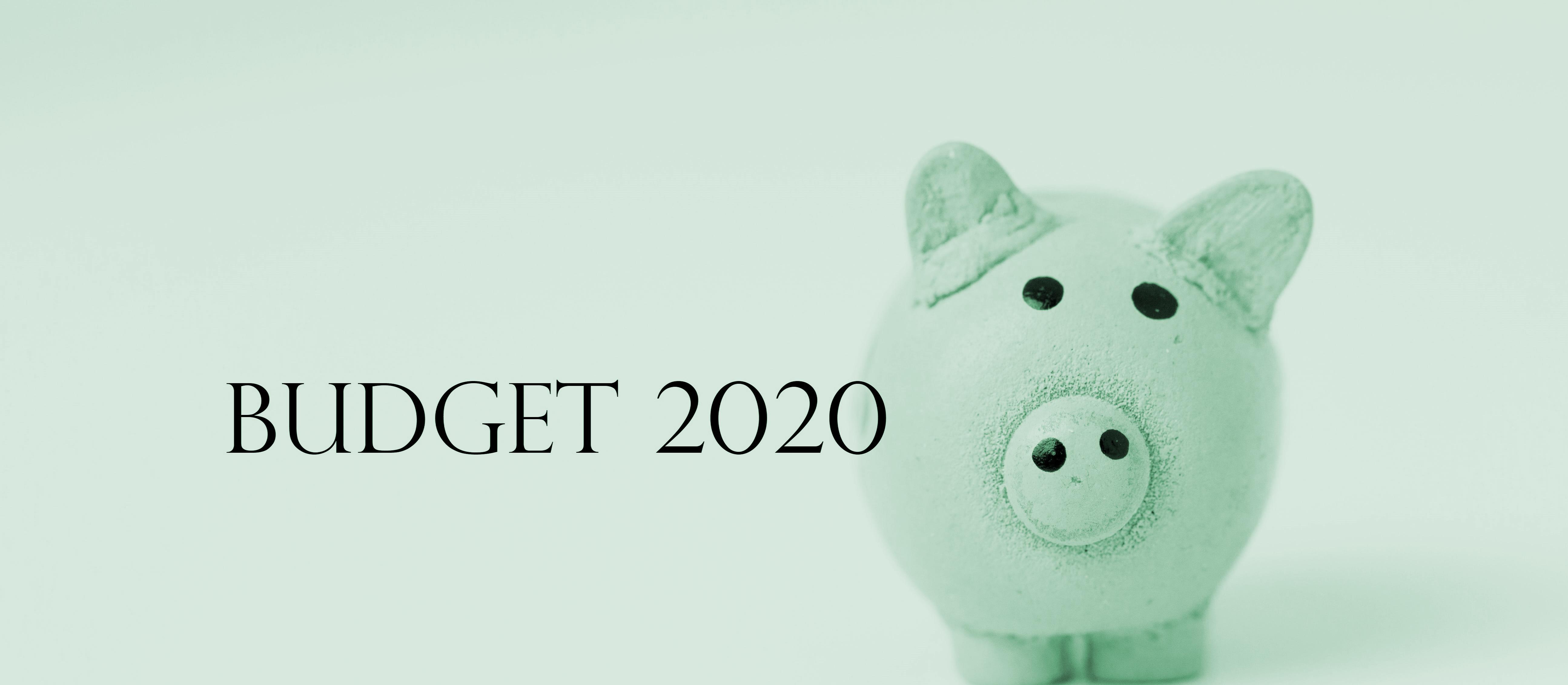 Budget 2020 Piggy_green