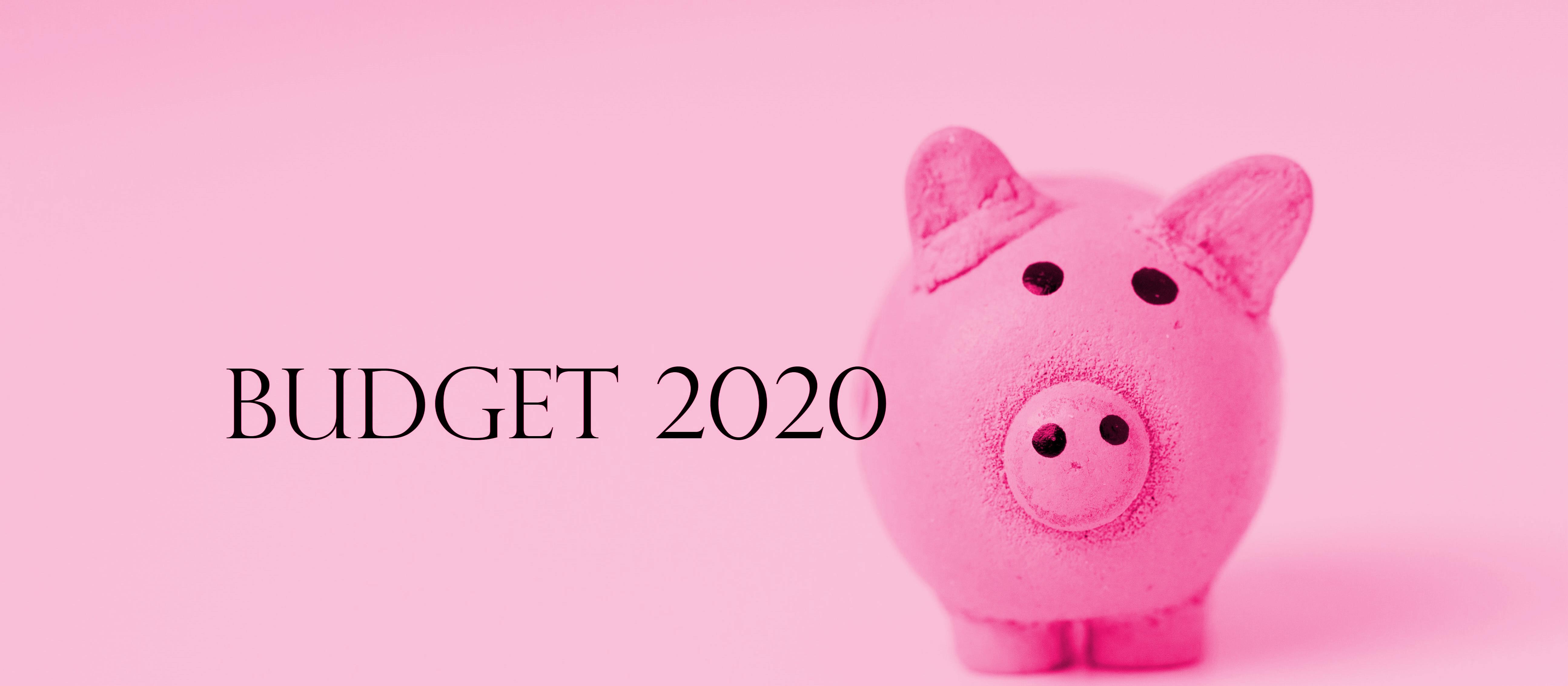 Budget 2020 Piggy_pink