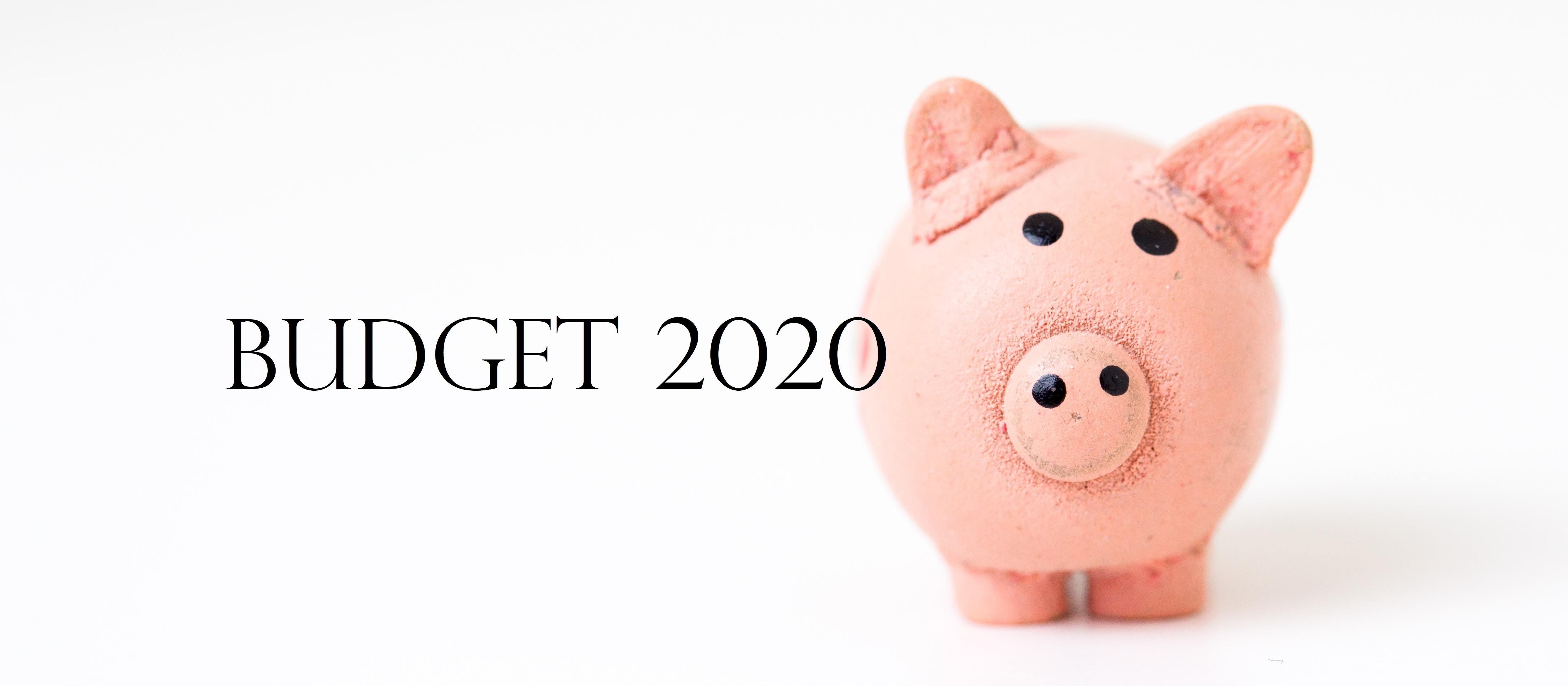 Budget 2020 Piggy_plain