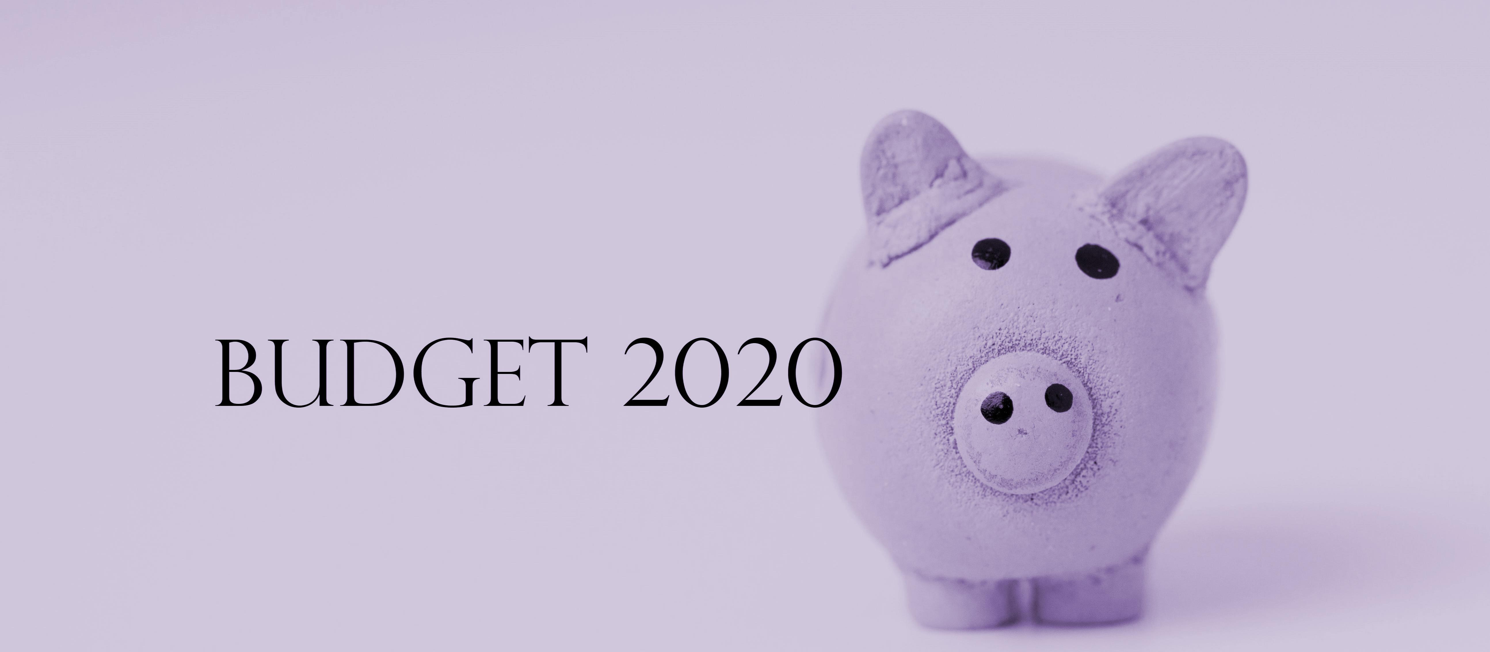 Budget 2020 Piggy_purple