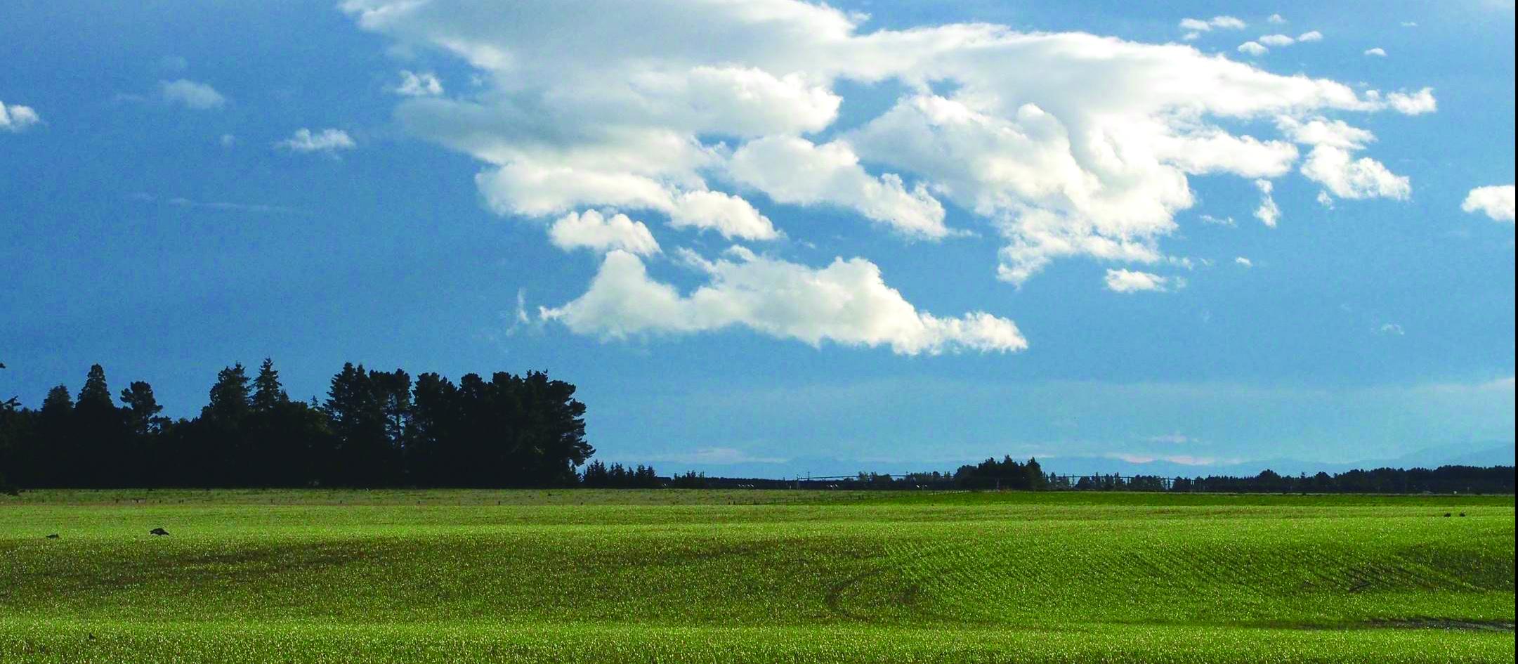 Flat, rural land