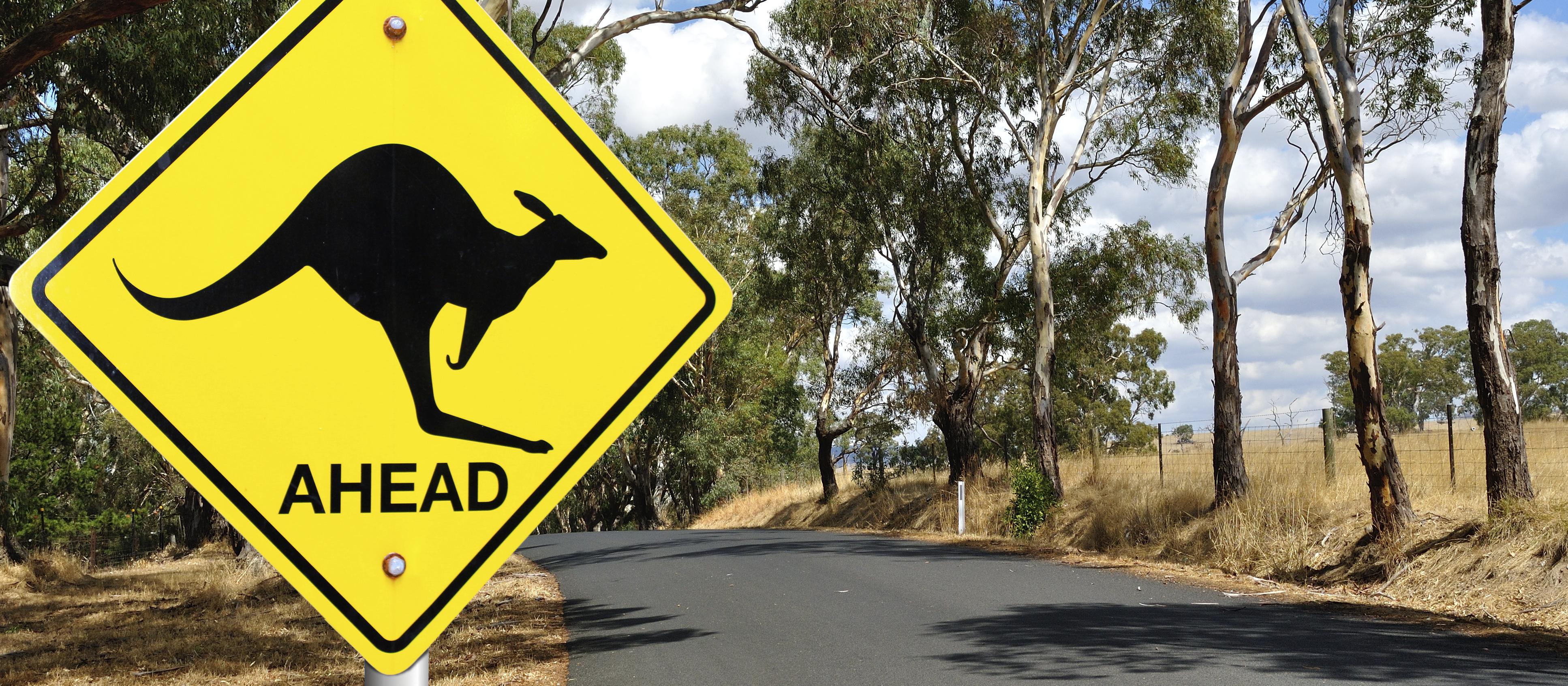 Kangaroo, stop sign, kangaroo ahead