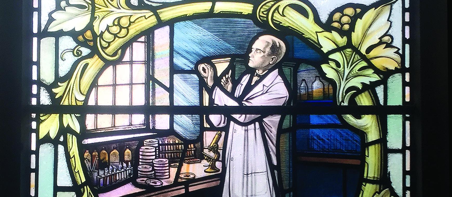 Stained glass window, Alexander Fleming, penicillin