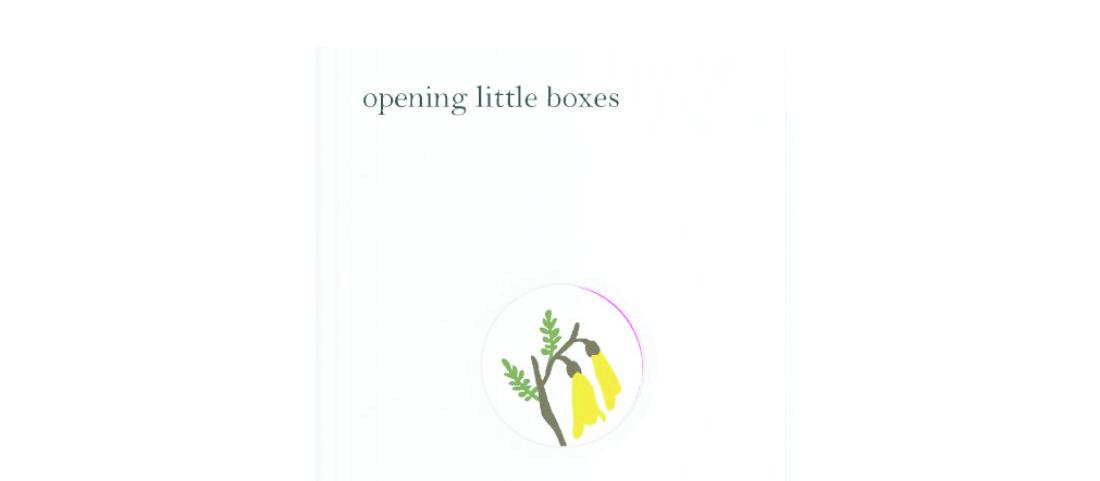 Opening little boxes cover
