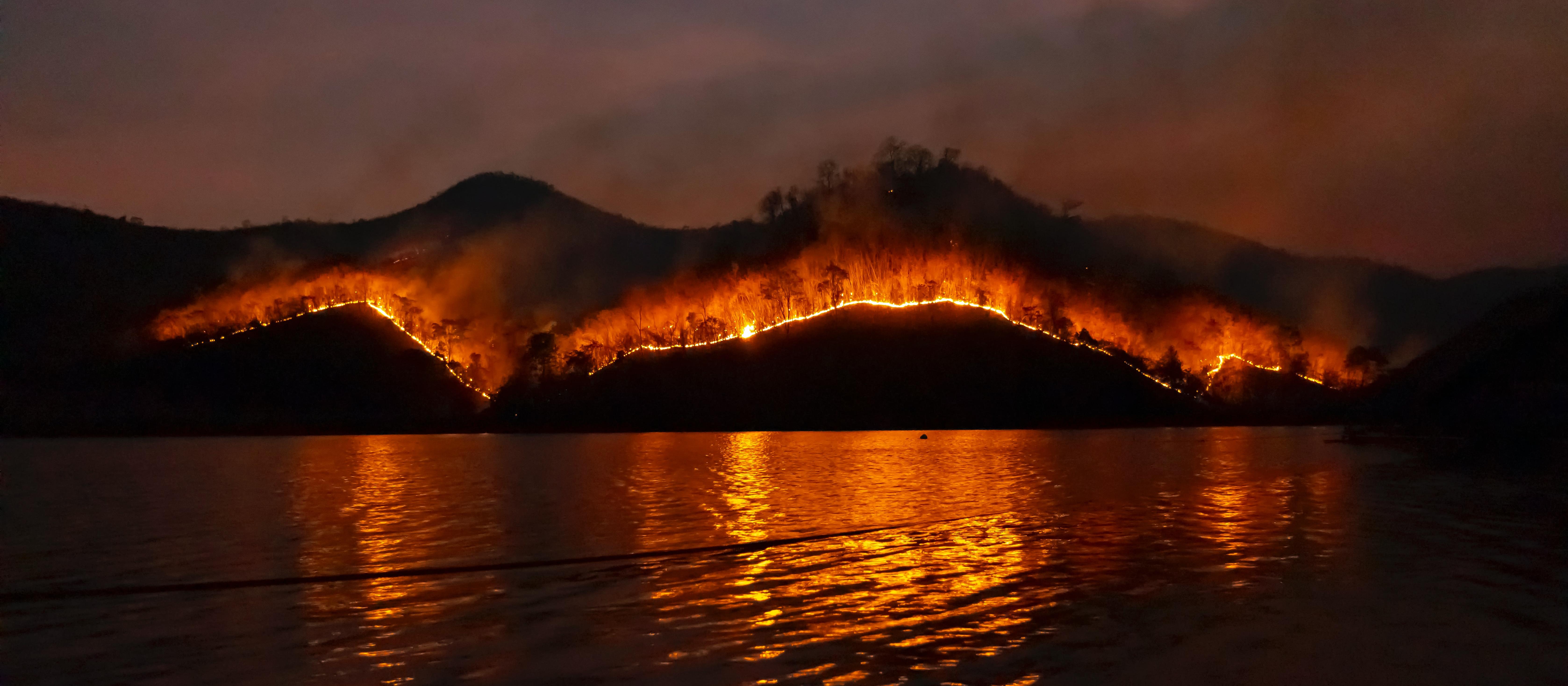 Forest fire  [Sippakorn Yamkasikorn on Unsplash]